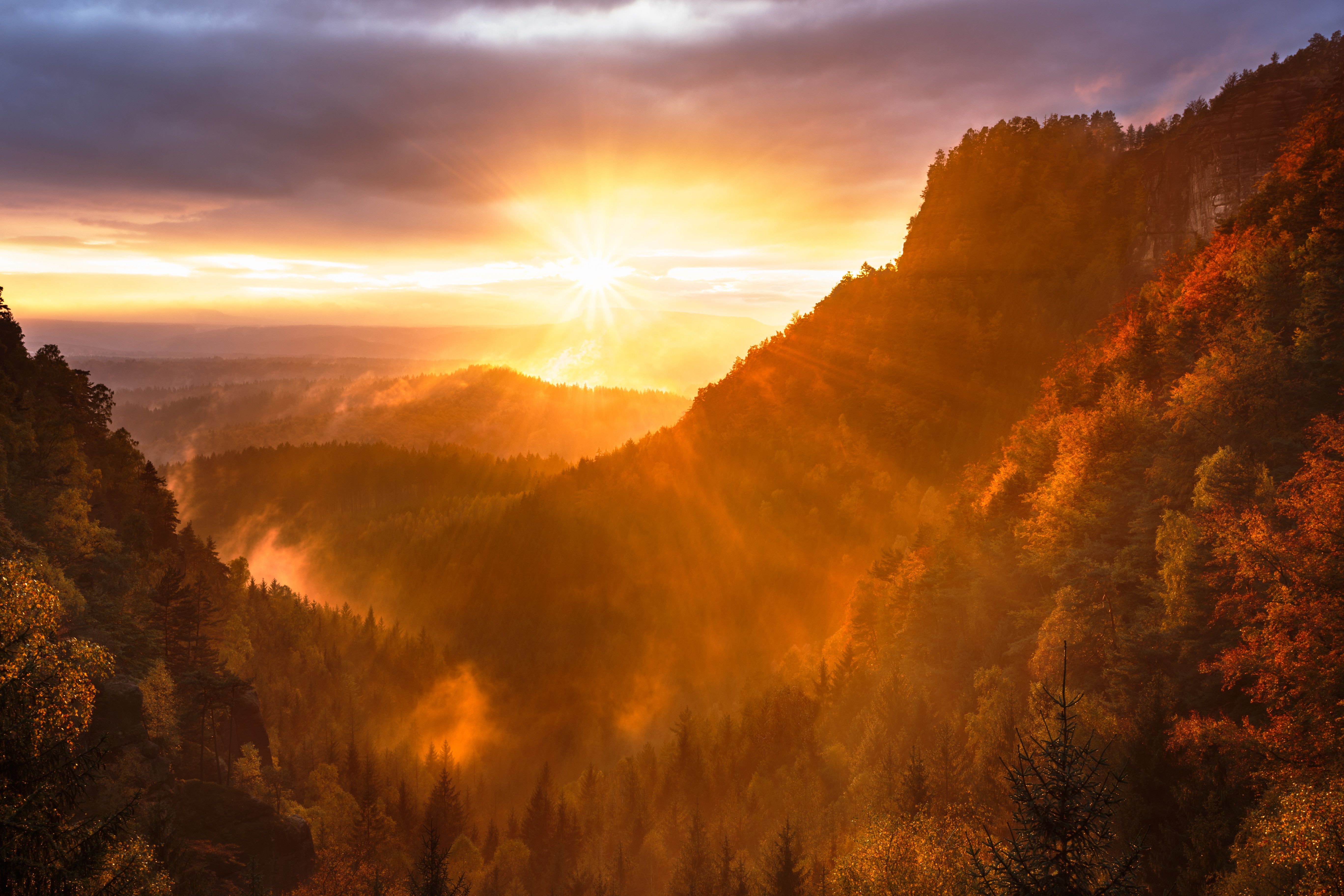 Download mobile wallpaper Forest, Sunrise, Earth, Valley for free.