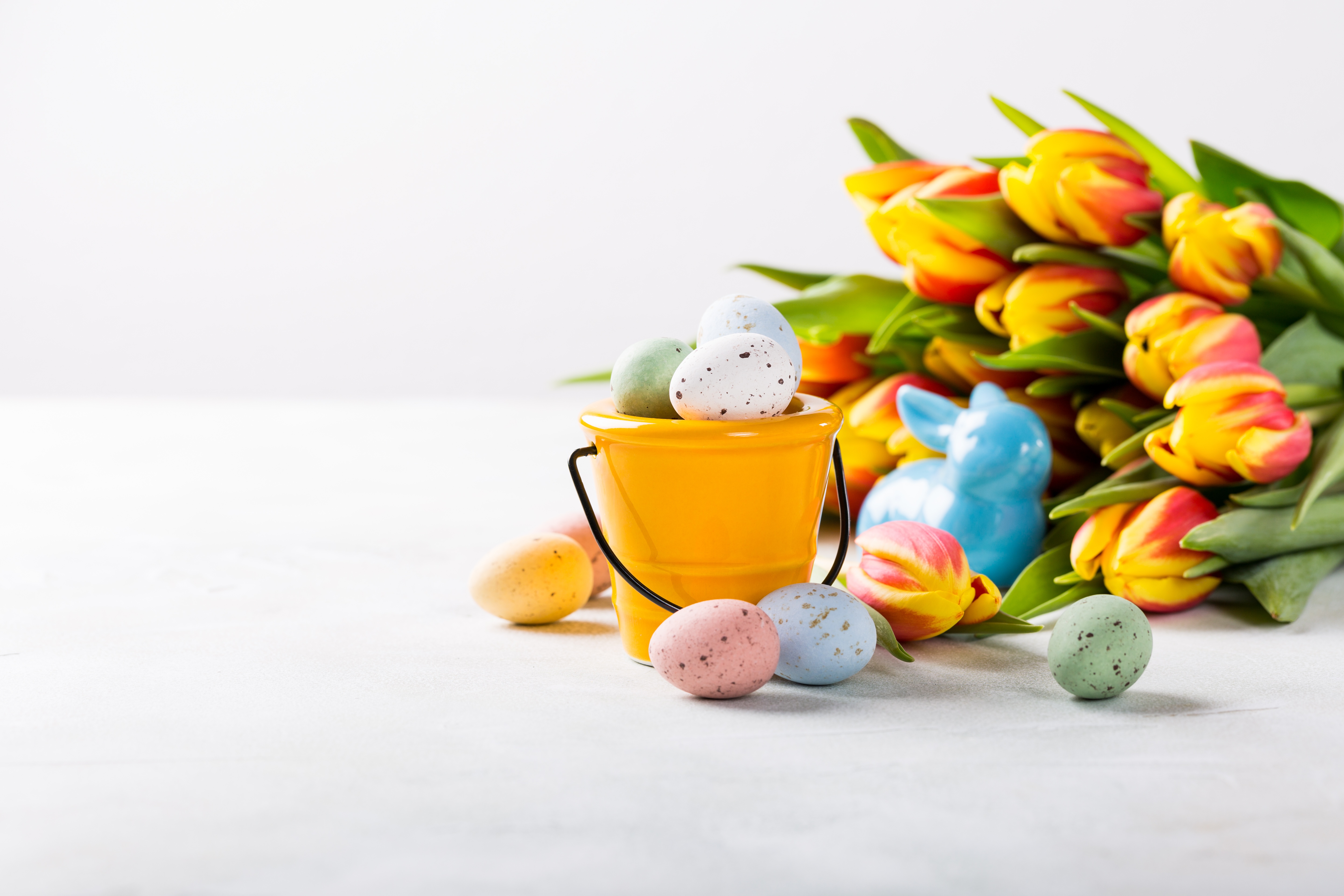 Скачати мобільні шпалери Великдень, Квітка, Свято, Тюльпан, Пасхальне Яйце безкоштовно.