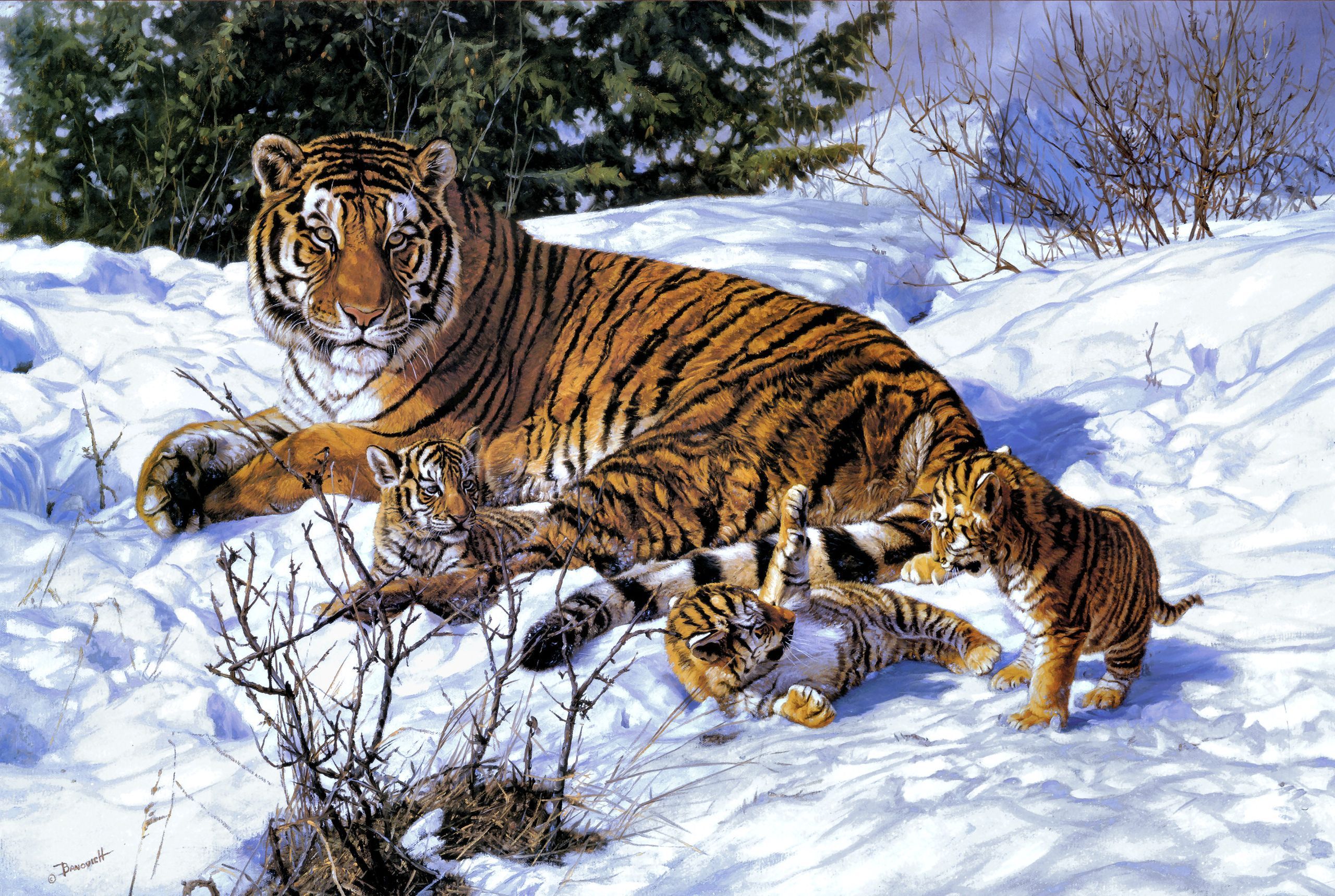 tiger, baby animal, painting, animal, cub, snow, winter, cats