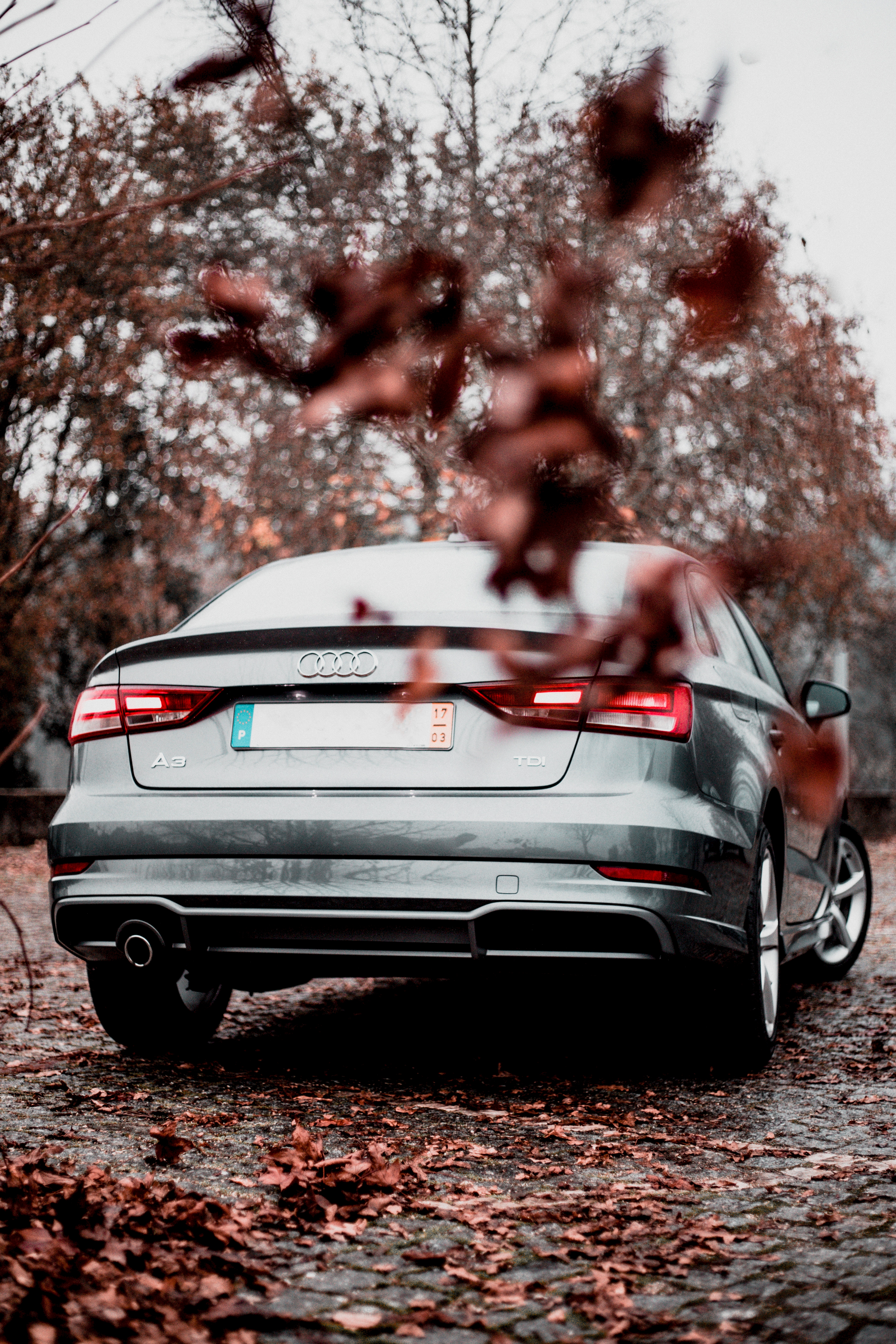 audi a3, audi, cars, leaf fall, fall, back view, rear view, silver, silvery