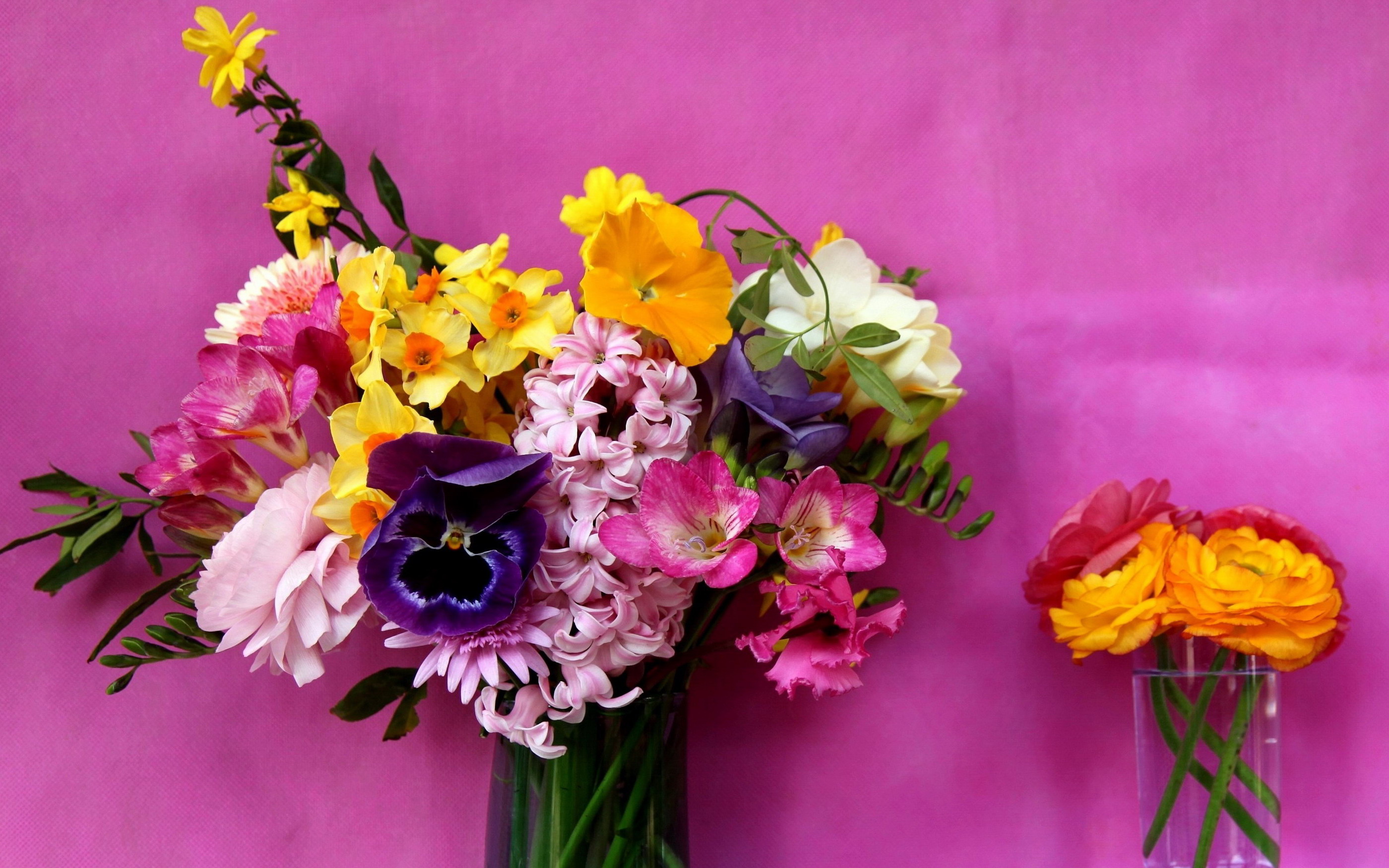 Laden Sie das Blume, Farben, Vase, Bunt, Fotografie, Stillleben-Bild kostenlos auf Ihren PC-Desktop herunter