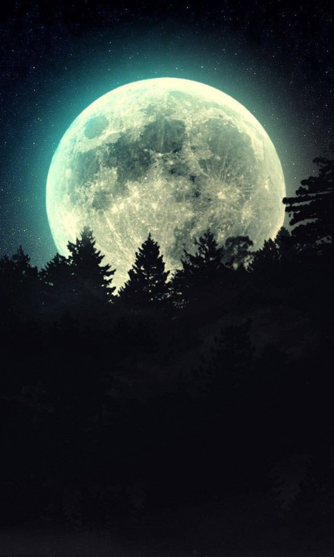 Download mobile wallpaper Night, Moon, Dark, Silhouette, Forest, Earth for free.