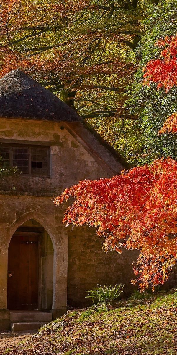 Desktop wallpaper: England, Man Made, Building, Fall, Stone, Tree 4K ...