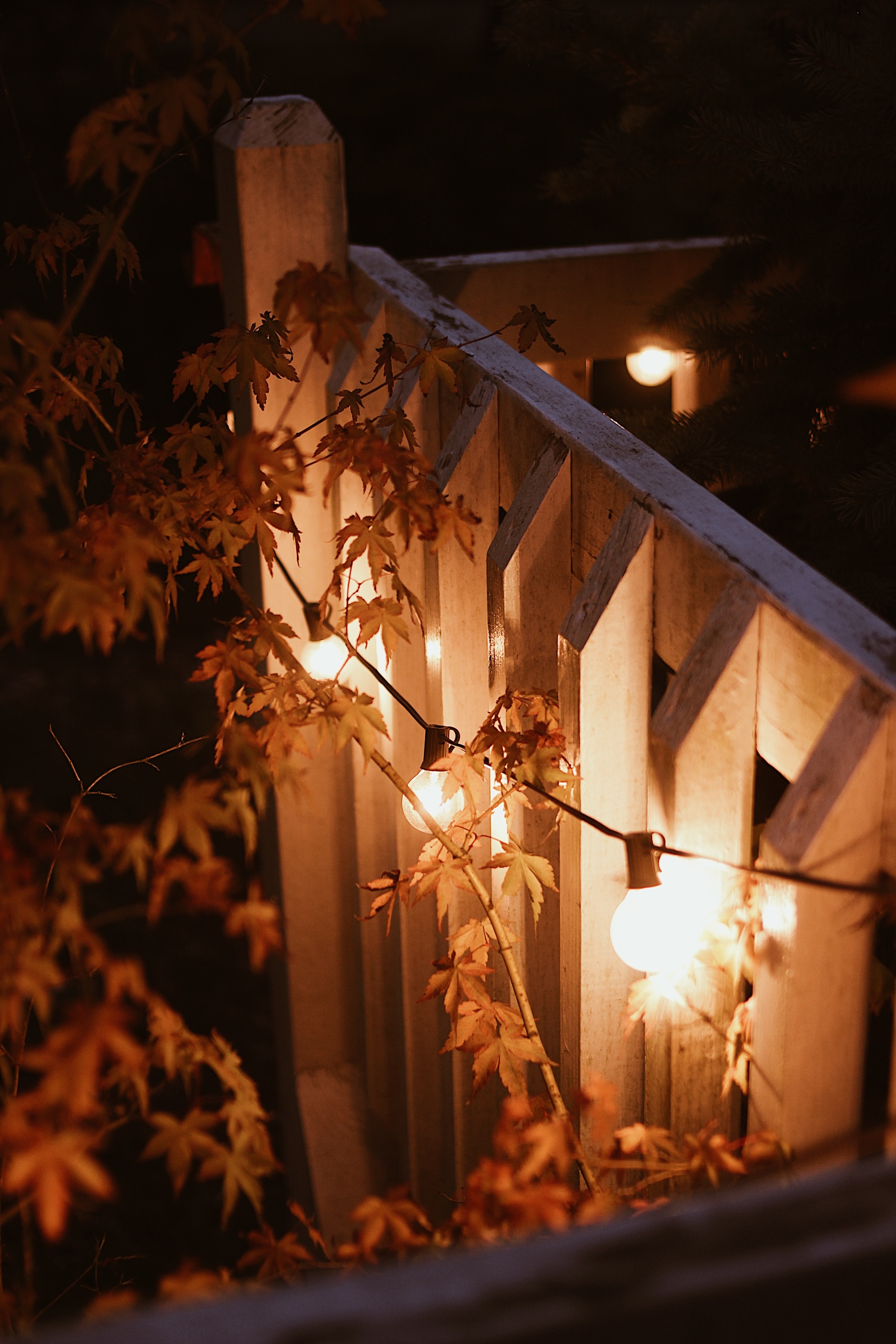 miscellanea, miscellaneous, branches, lamp, evening, glow, garland, lamps