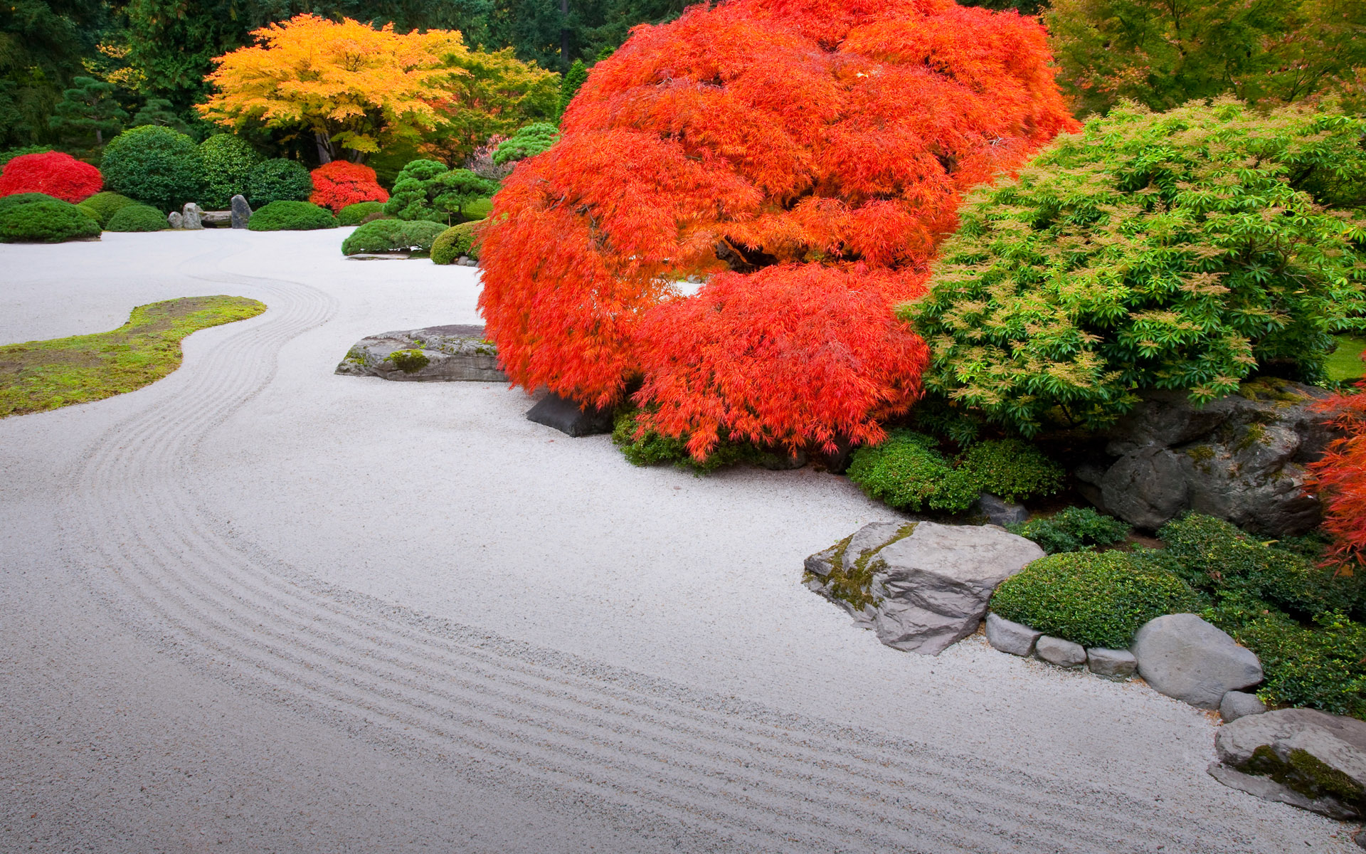 Handy-Wallpaper Baum, Busch, Farben, Menschengemacht, Japanischer Garten kostenlos herunterladen.