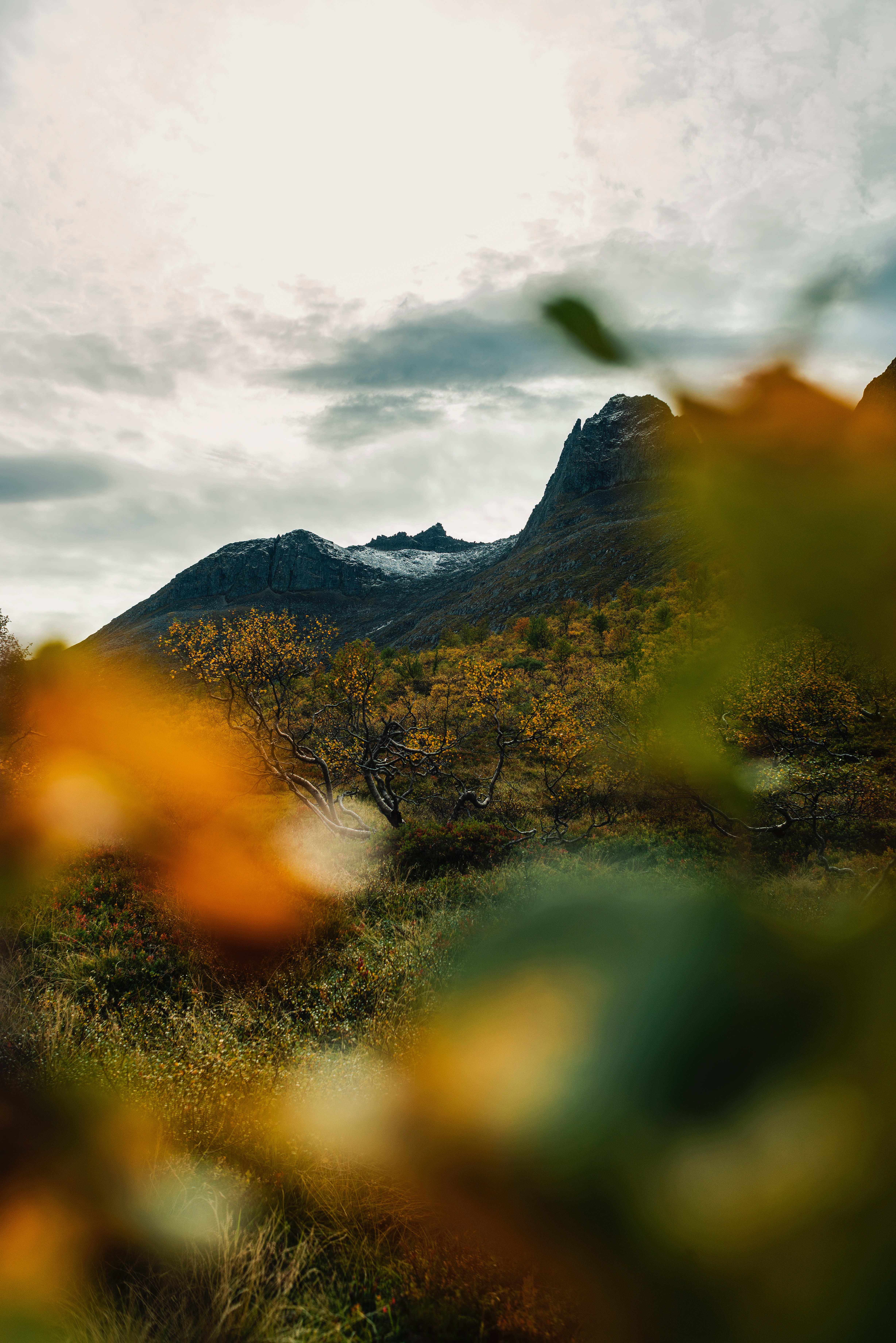 1920x1080 Background nature, grass, autumn, mountain, blur, smooth