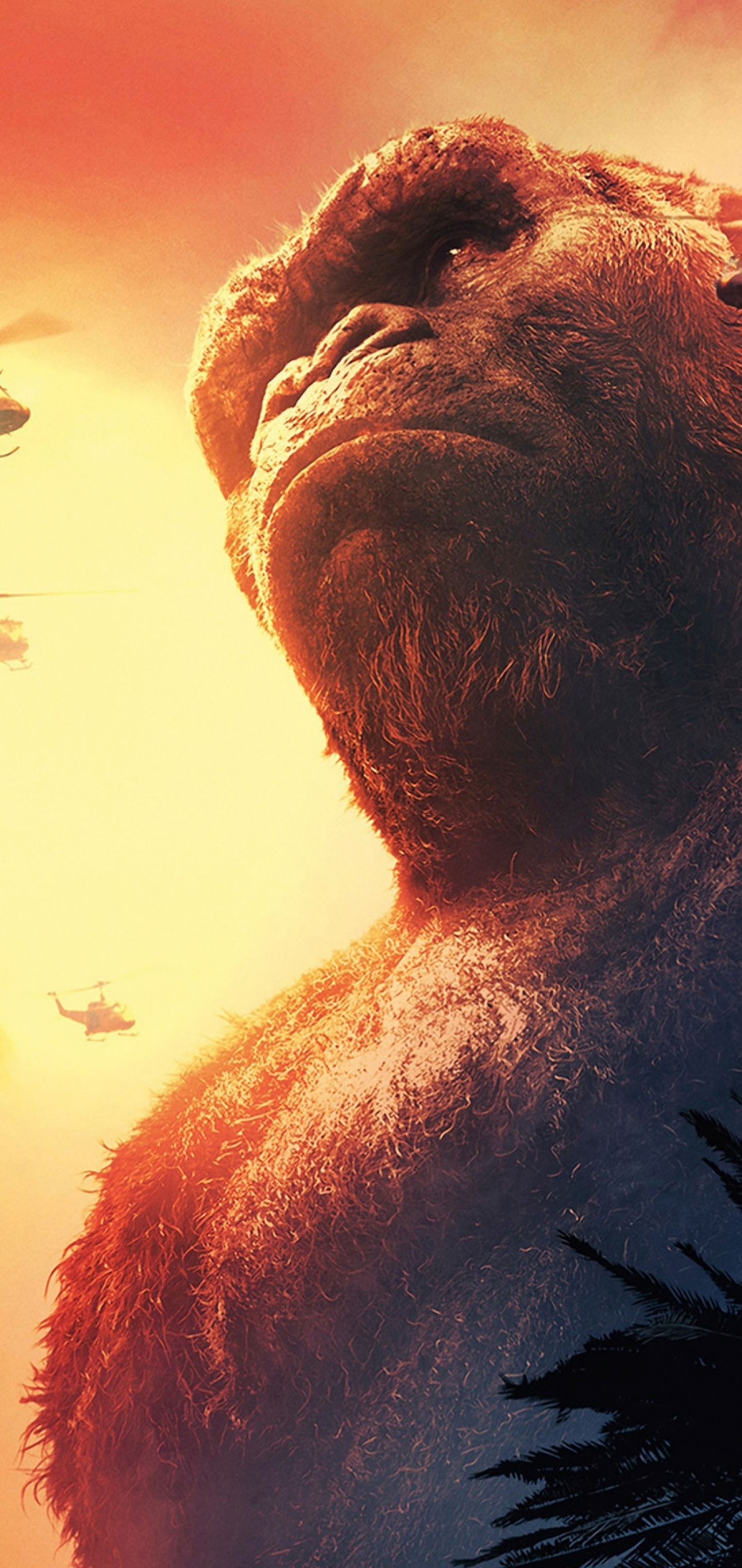 Baixar papel de parede para celular de Gorila, Filme, Kong: A Ilha Da Caveira gratuito.