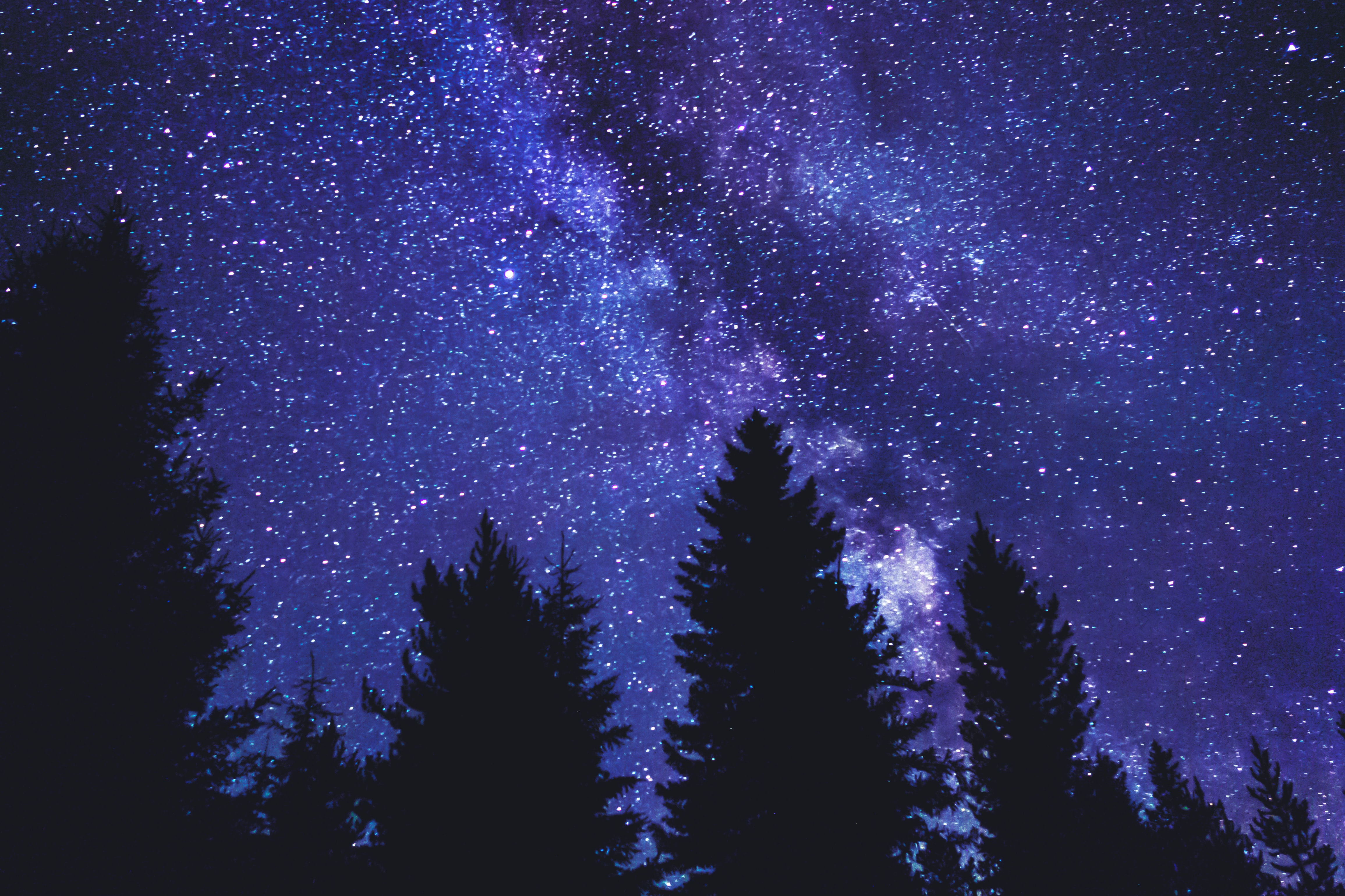 Download mobile wallpaper Trees, Silhouette, Starry Sky, Night, Dark for free.
