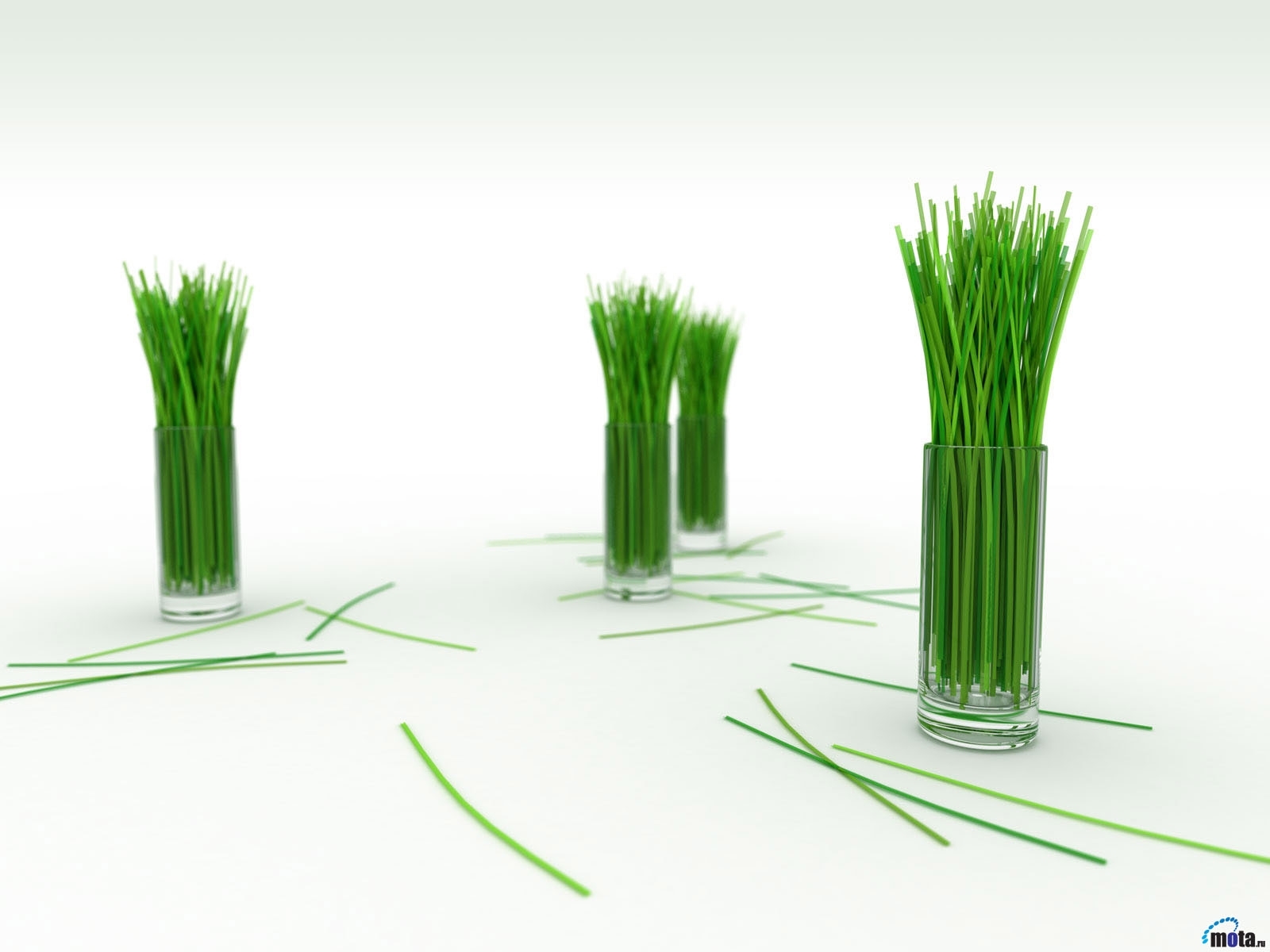 grass, objects, tablewares, white UHD