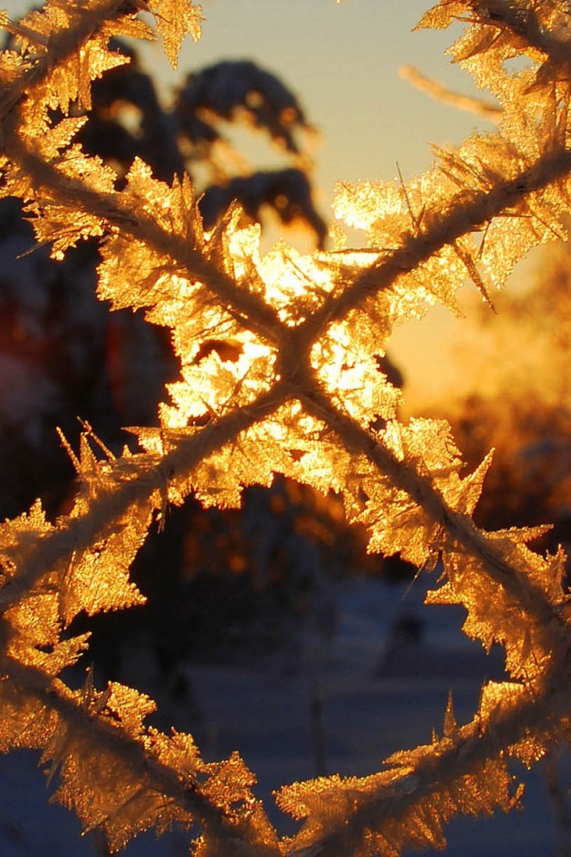 Descarga gratuita de fondo de pantalla para móvil de Invierno, Tierra/naturaleza.