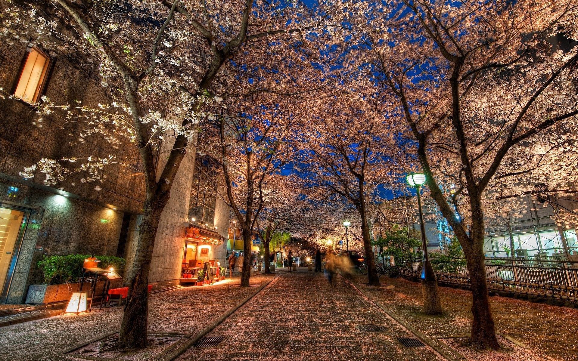 Free download wallpaper Alley, Trees, Evening, Cities, Park, City, Hdr on your PC desktop