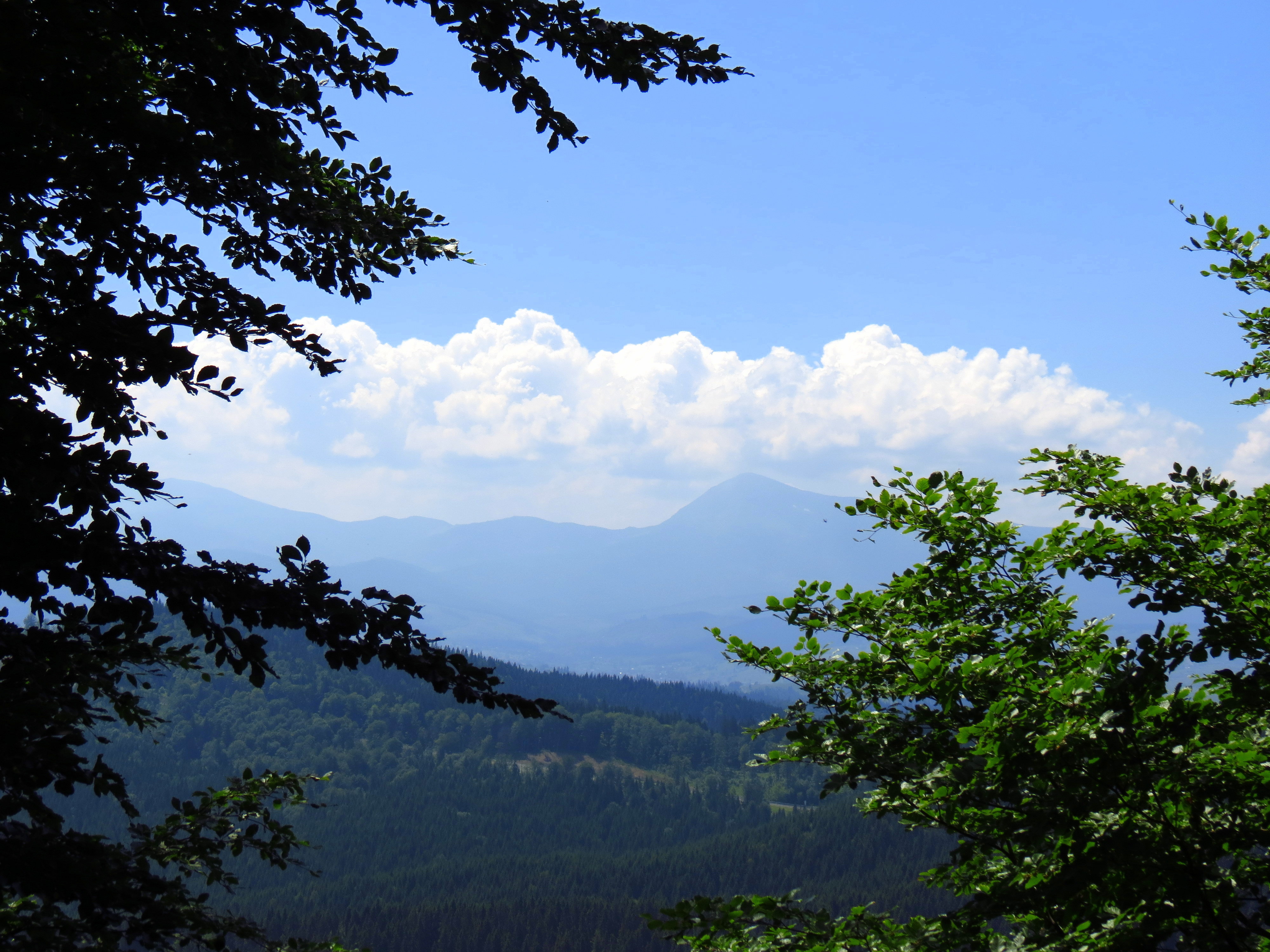 PCデスクトップに風景, 木, スカイ, 山脈, 雲画像を無料でダウンロード