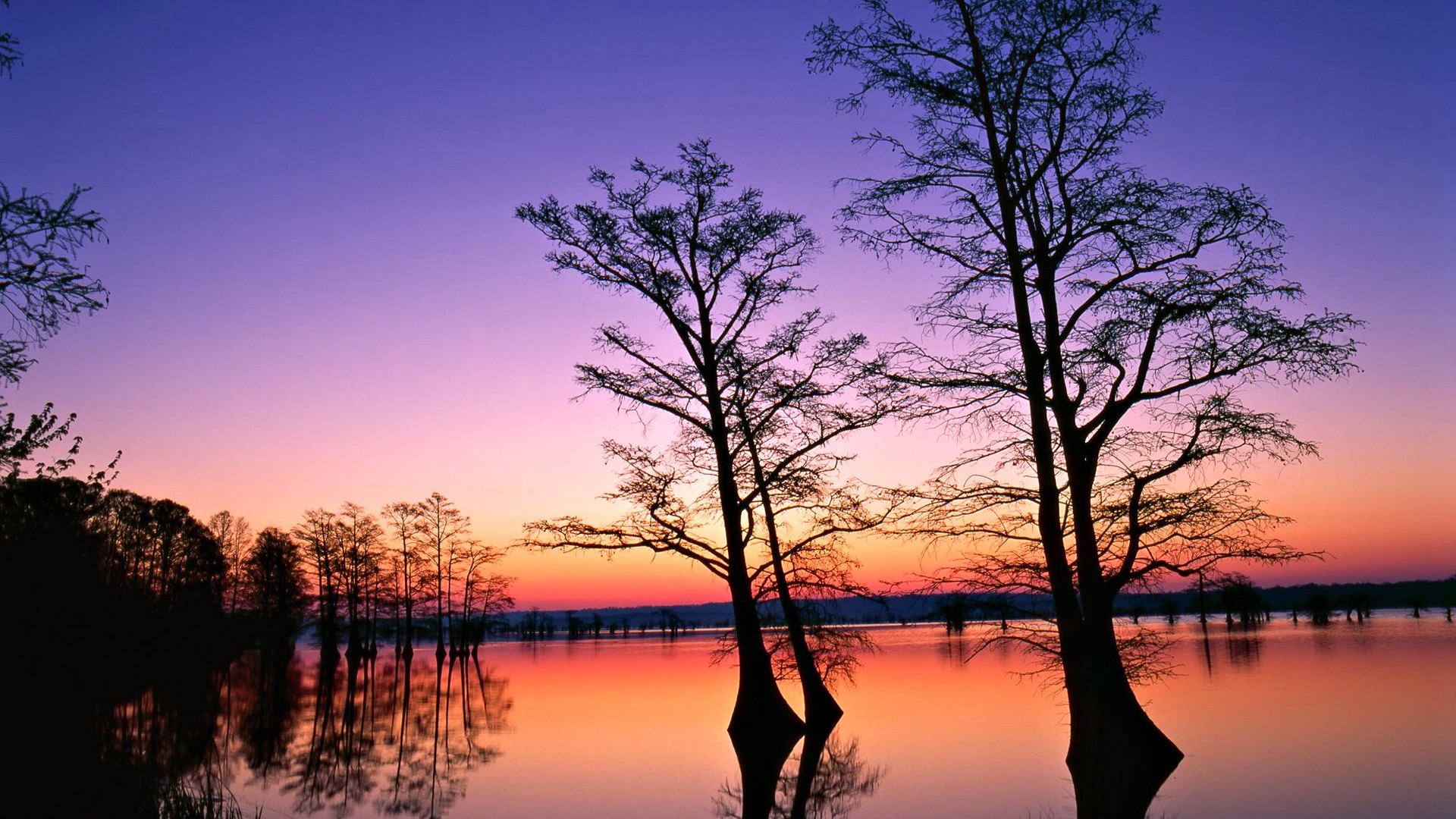 Téléchargez gratuitement l'image Eau, Coucher De Soleil, Arbre, La Nature, Terre/nature sur le bureau de votre PC