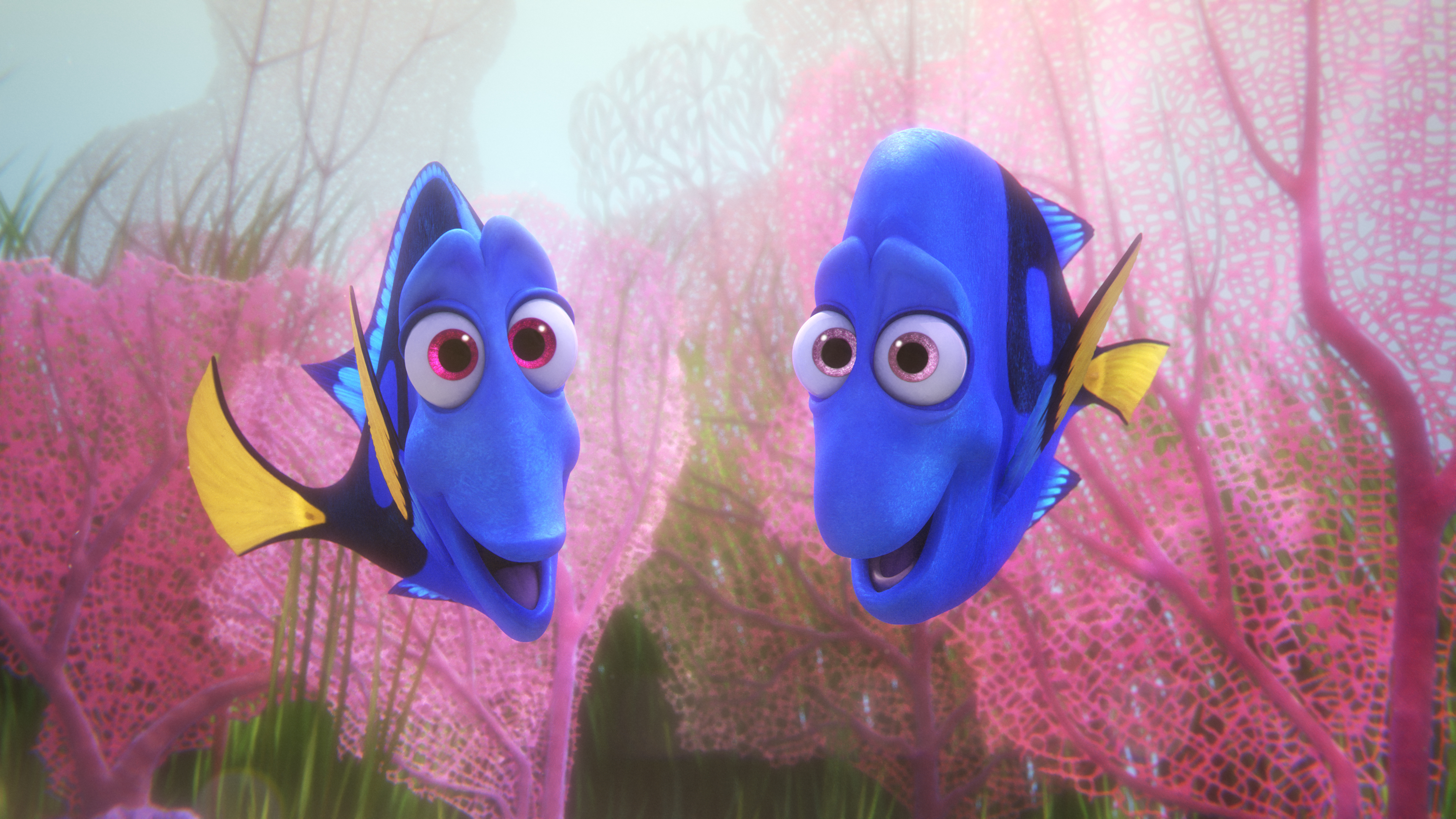 movie, finding dory, charlie (finding dory), jenny (finding dory)