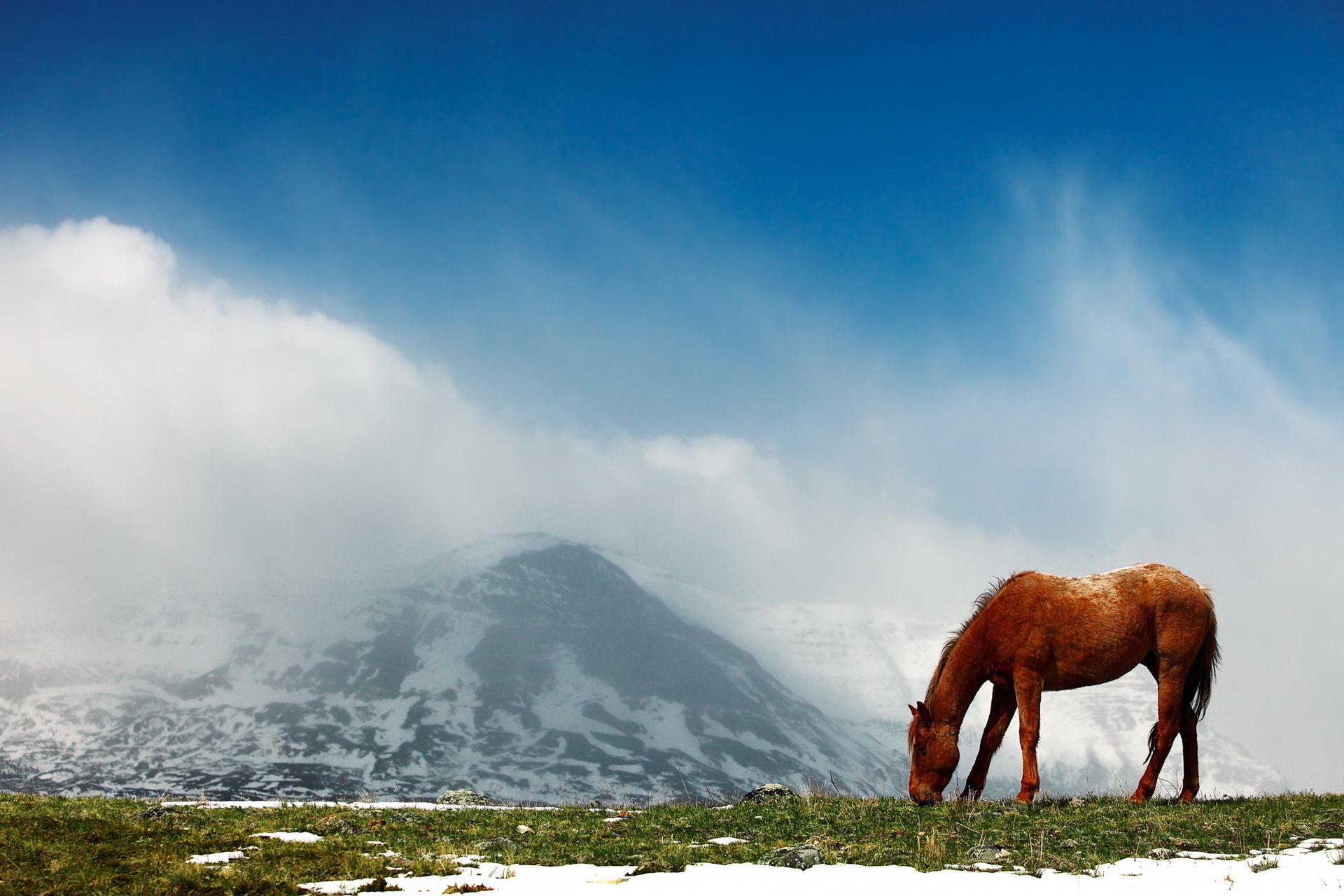Скачать картинку Туман, Снег, Небо, Животные, Вершины, Горы, Прогулка, Лошадь в телефон бесплатно.