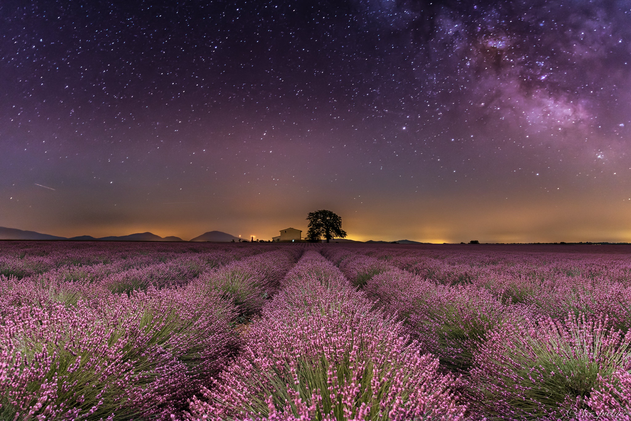 518396 Bildschirmschoner und Hintergrundbilder Blumen auf Ihrem Telefon. Laden Sie  Bilder kostenlos herunter