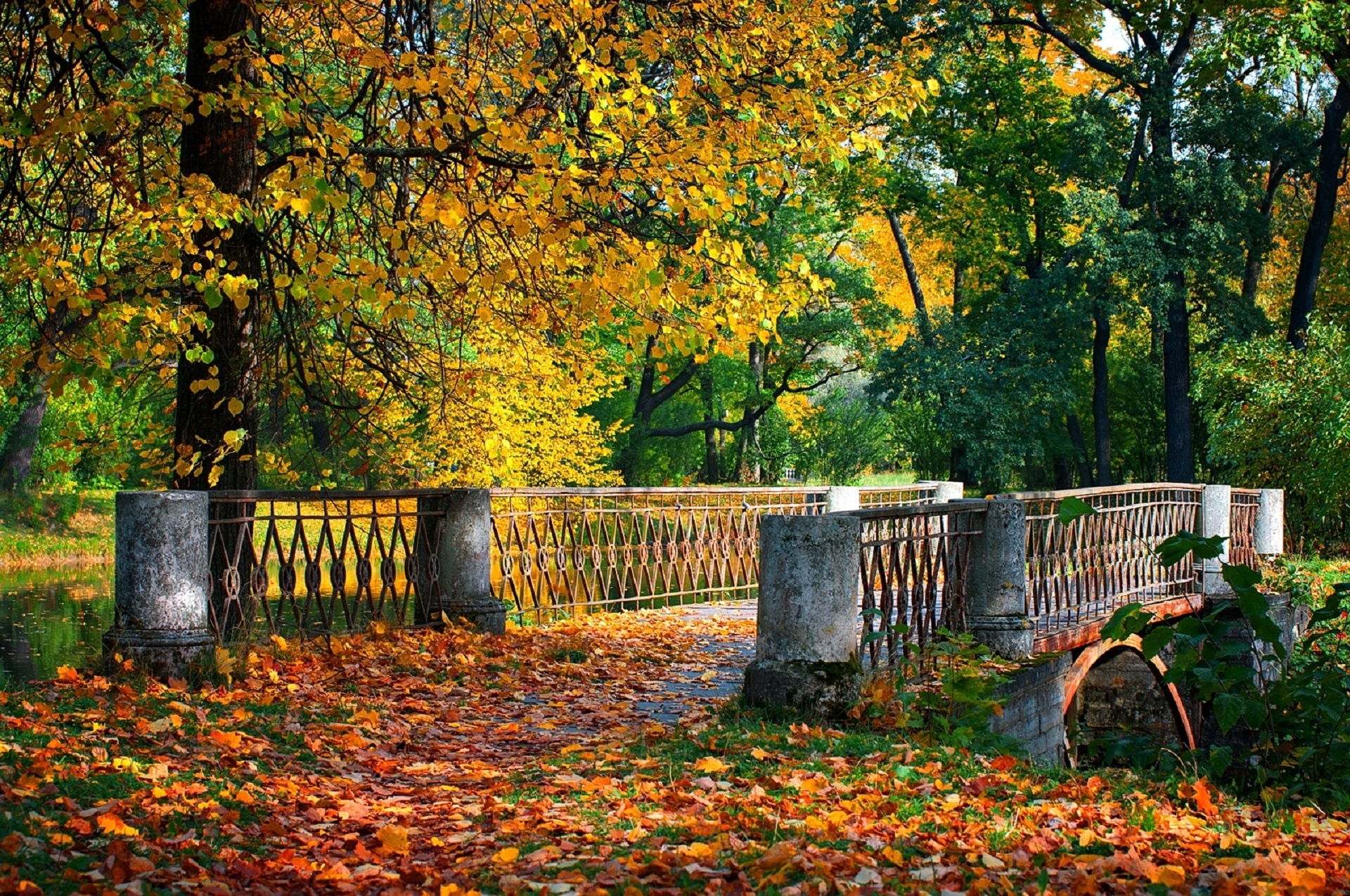 Скачать картинку Мосты, Осень, Лес, Парк, Мост, Зеленый, Весна, Сделано Человеком в телефон бесплатно.