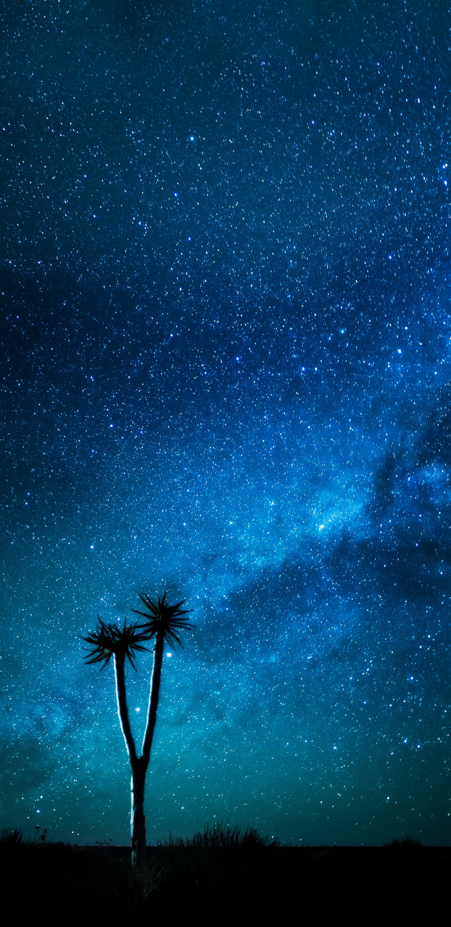 Download mobile wallpaper Nature, Milky Way, Sci Fi, Namibia for free.