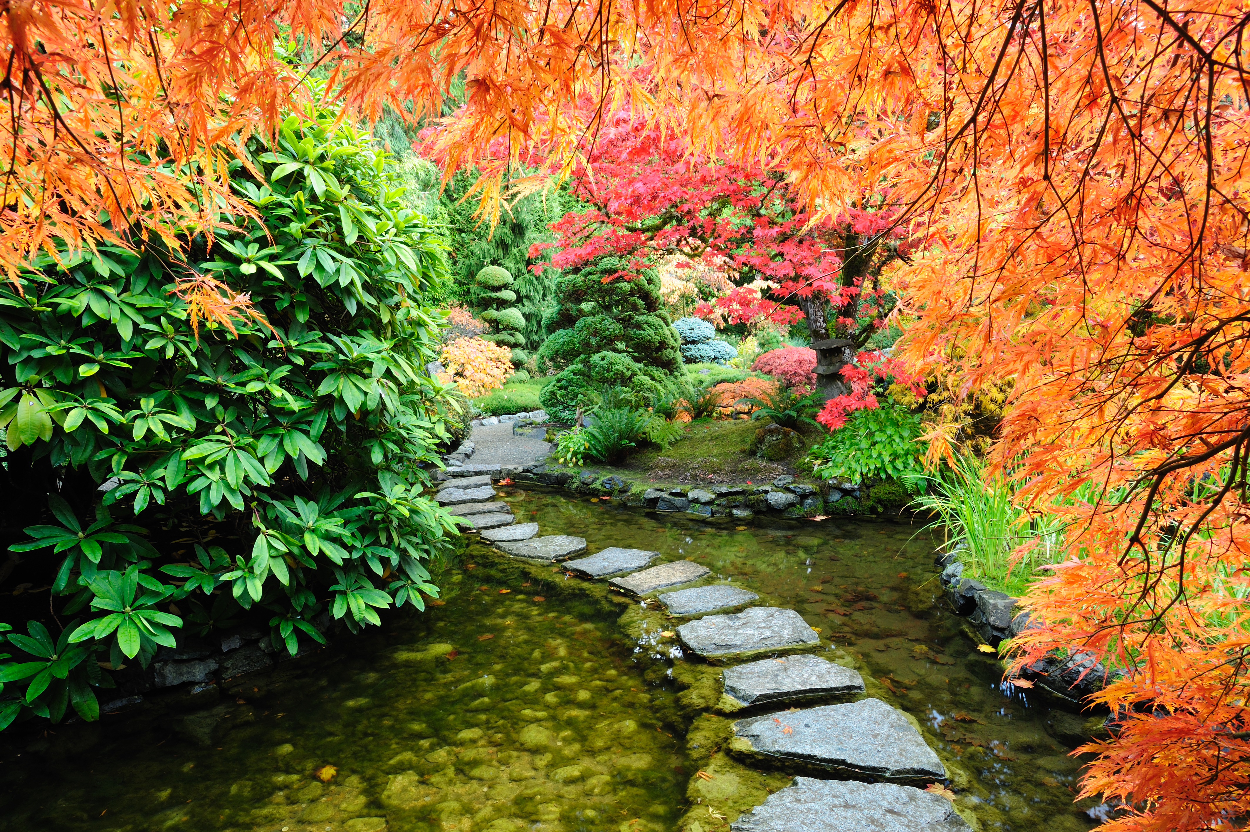 1527951 скачать обои пруд, сделано человеком, японский сад, осень, дорога - заставки и картинки бесплатно
