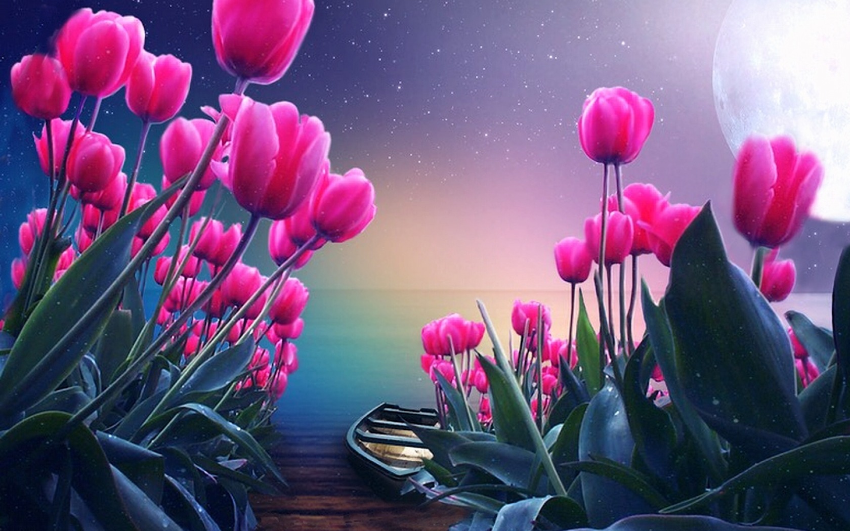 tulip, earth, boat, flower, moon, moonlight, pink flower