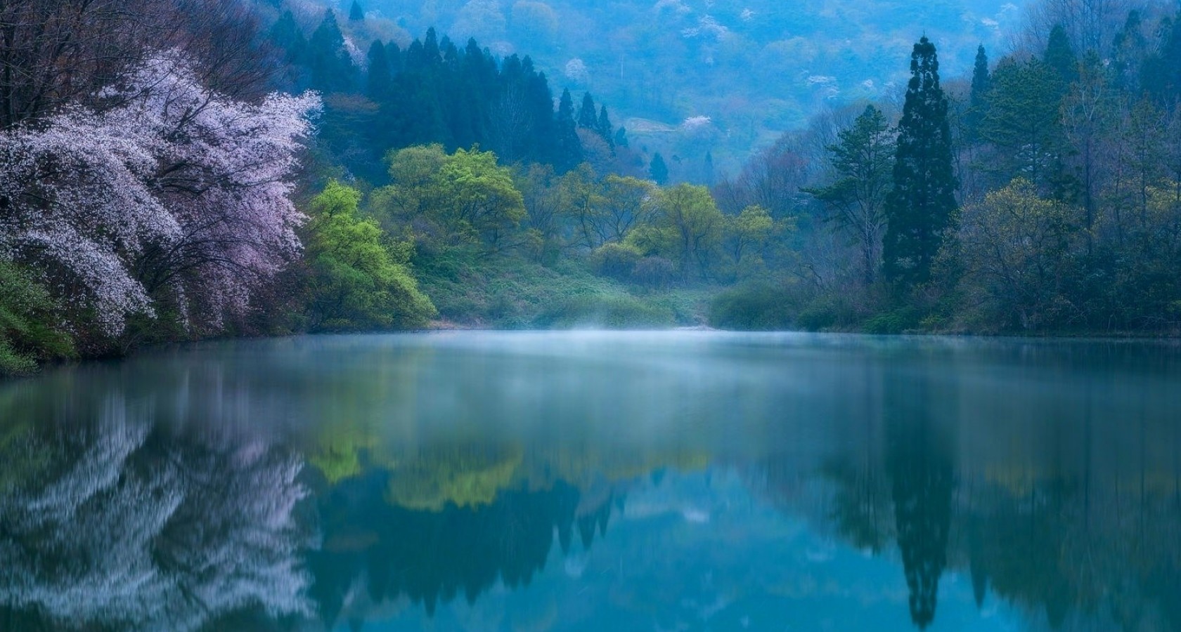 Free download wallpaper Lake, Forest, Fog, Earth, Spring, Blossom on your PC desktop