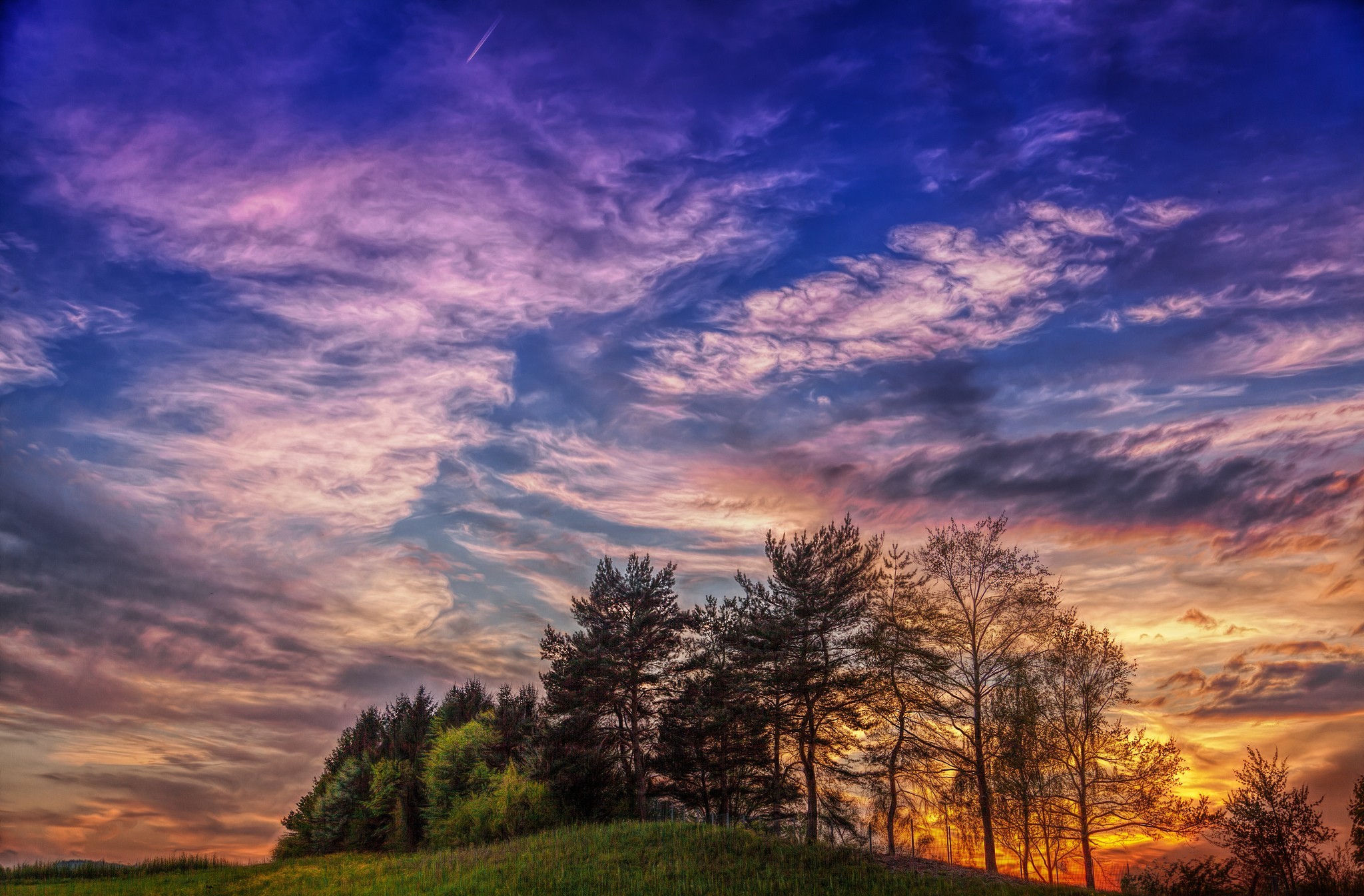 Descarga gratis la imagen Cielo, Árbol, Nube, Atardecer, Tierra/naturaleza en el escritorio de tu PC