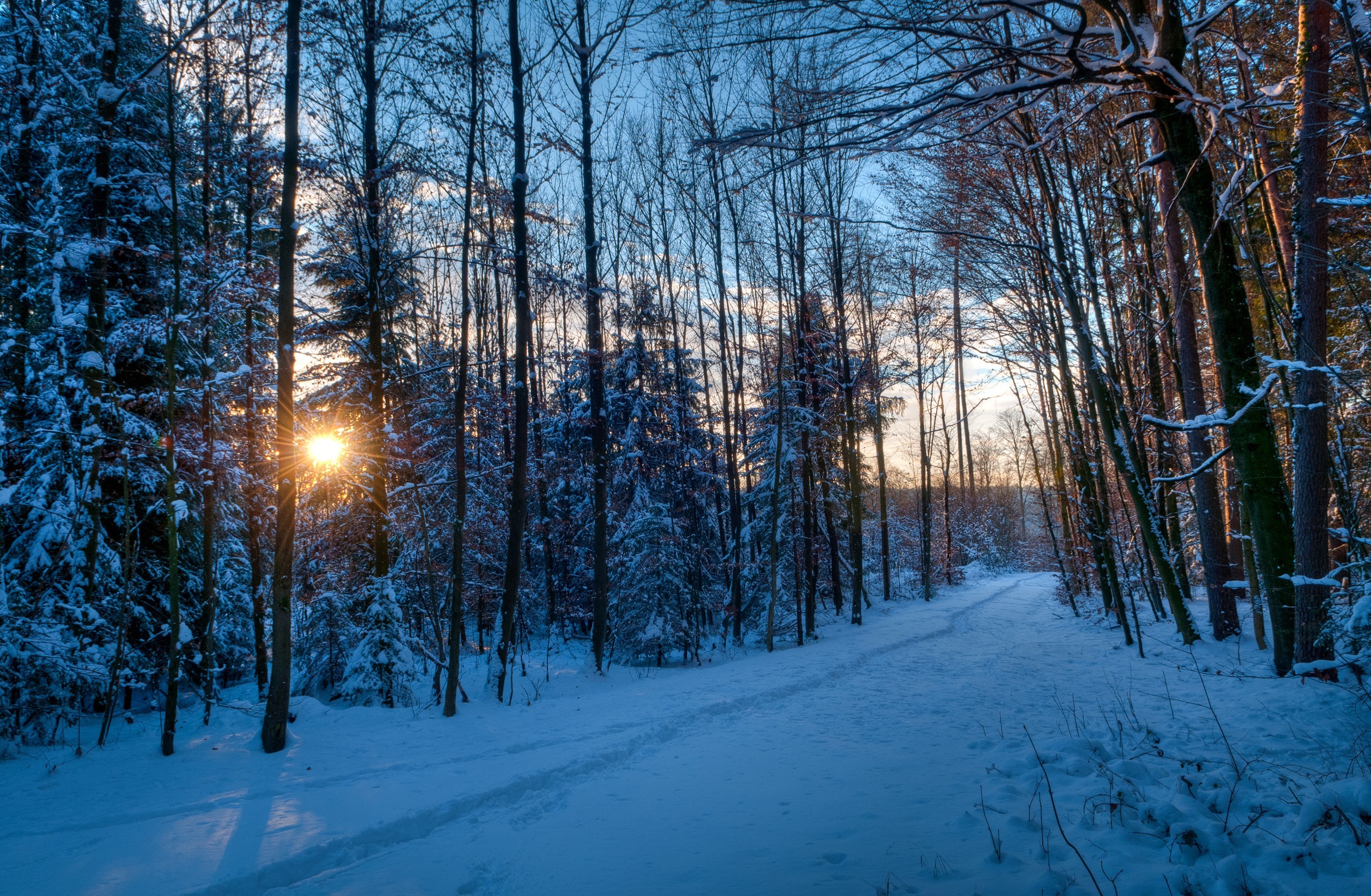 Download mobile wallpaper Winter, Sunset, Wood, Earth for free.