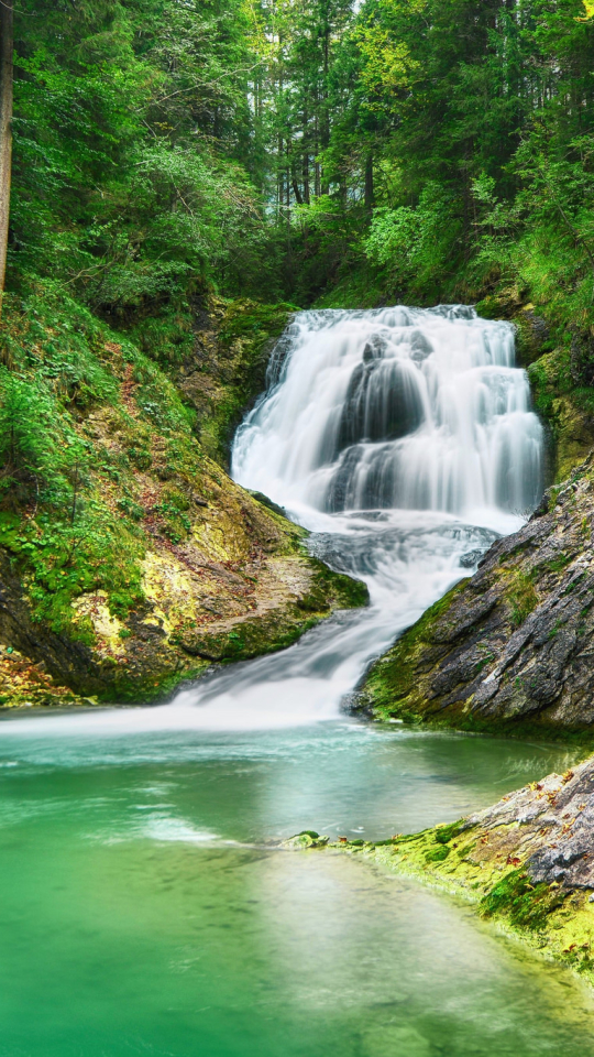 Handy-Wallpaper Wasserfälle, Wasserfall, Wald, Erde, Teich, Erde/natur kostenlos herunterladen.