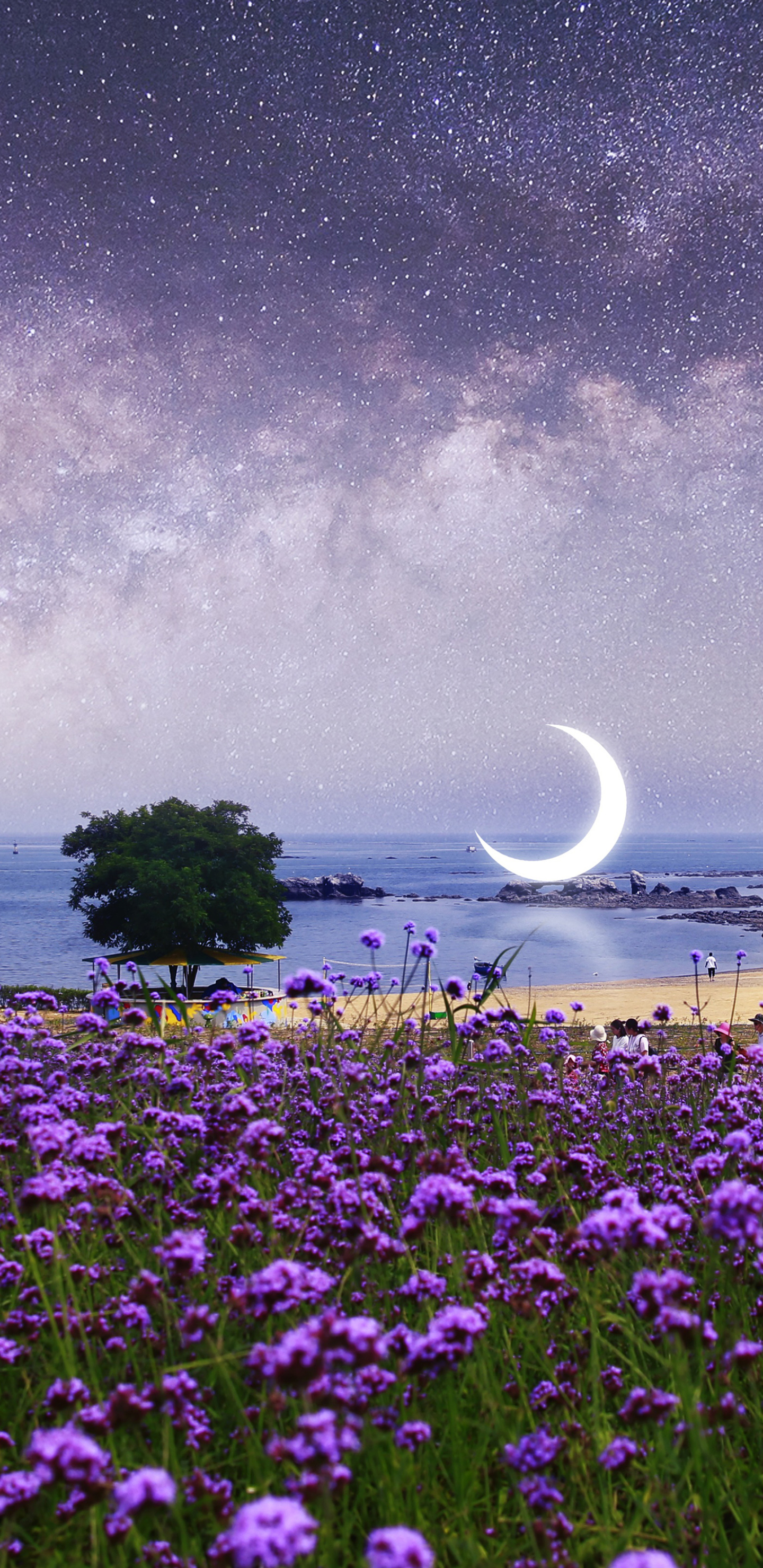 Download mobile wallpaper Beach, Starry Sky, Photography, Crescent, Purple Flower, Manipulation for free.