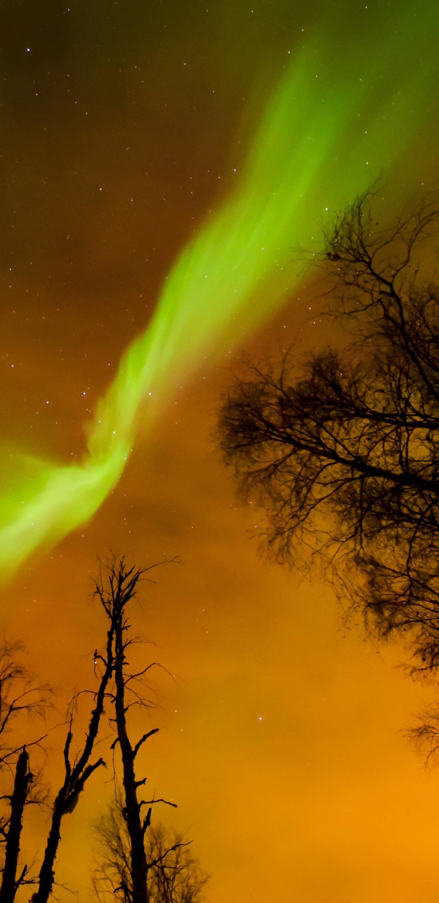 Download mobile wallpaper Earth, Aurora Borealis for free.