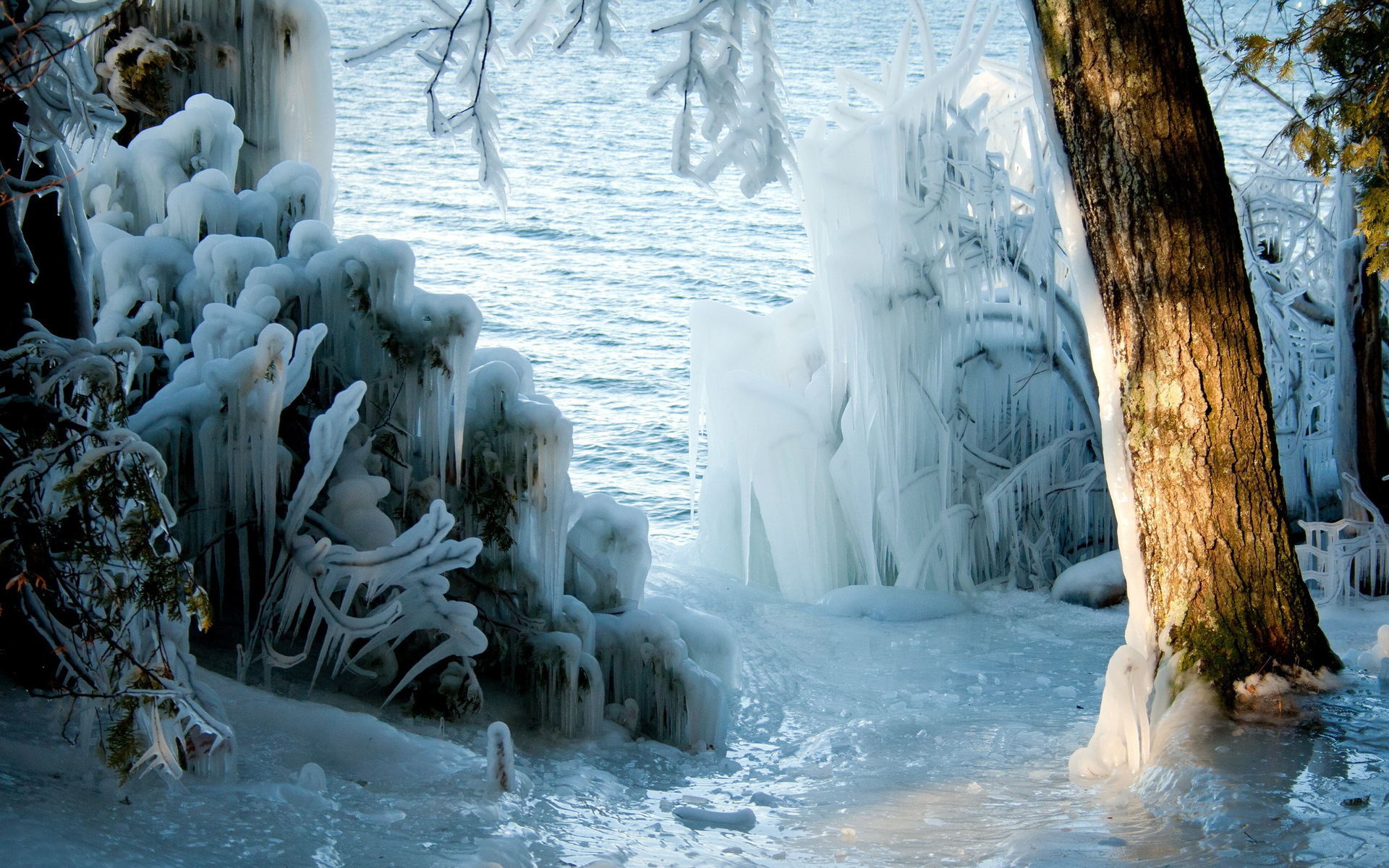 Скачать картинку Зима, Озеро, Лес, Лёд, Время Года, Земля/природа в телефон бесплатно.