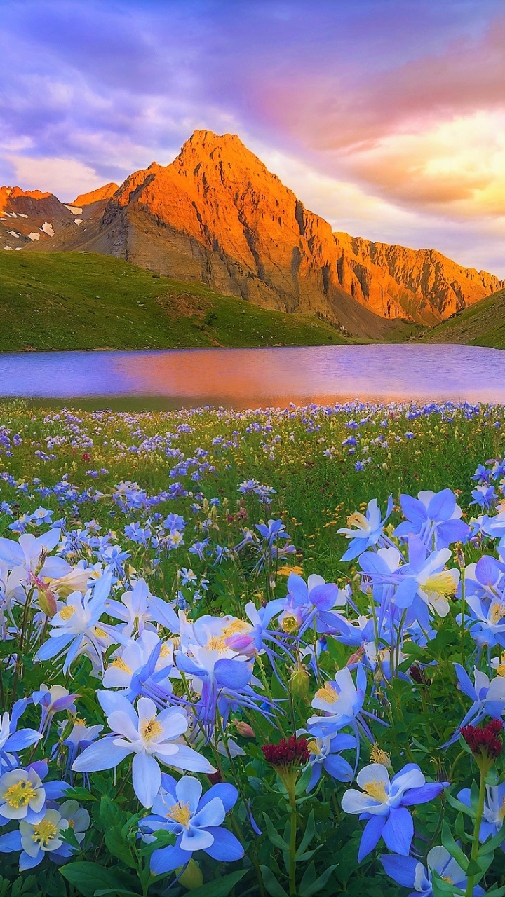Download mobile wallpaper Landscape, Grass, Lakes, Mountain, Lake, Flower, Earth, Spring, Blue Flower for free.