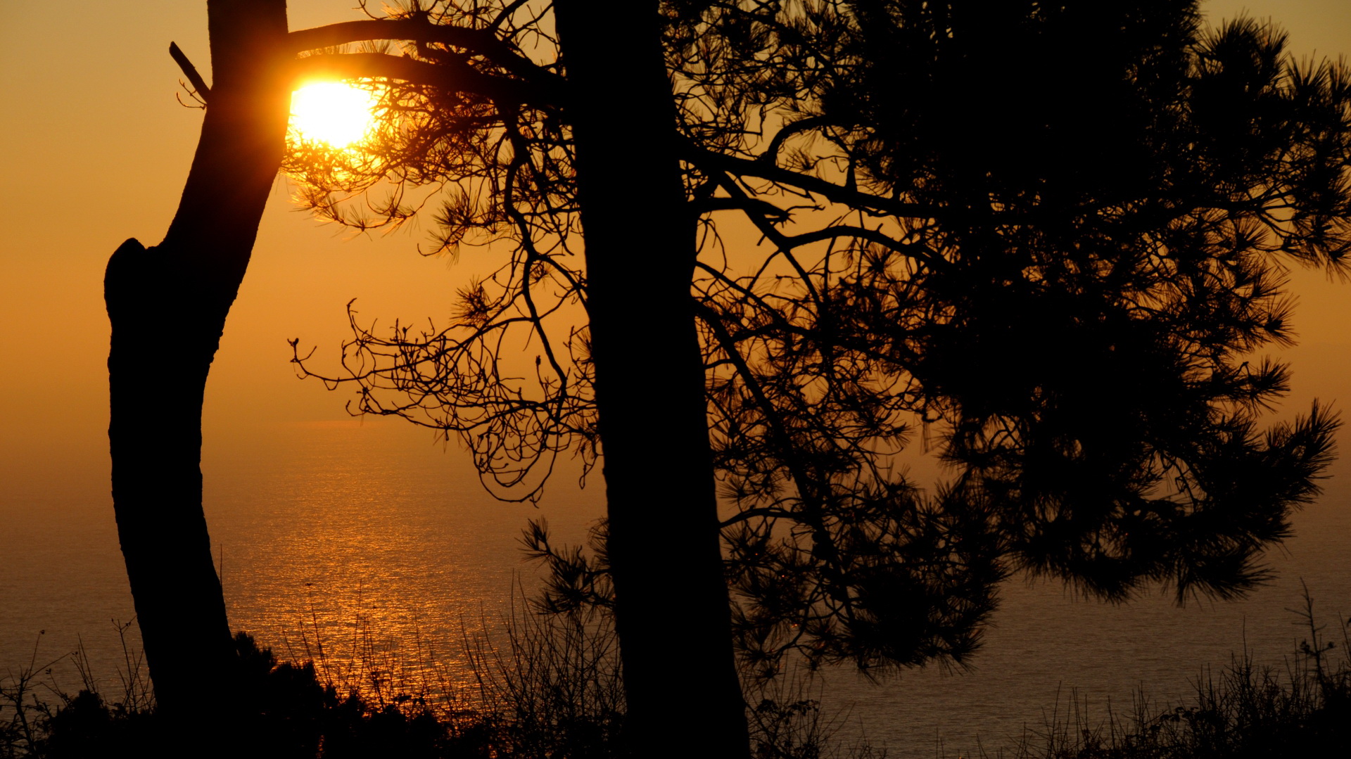 Téléchargez gratuitement l'image Coucher De Soleil, Terre/nature sur le bureau de votre PC