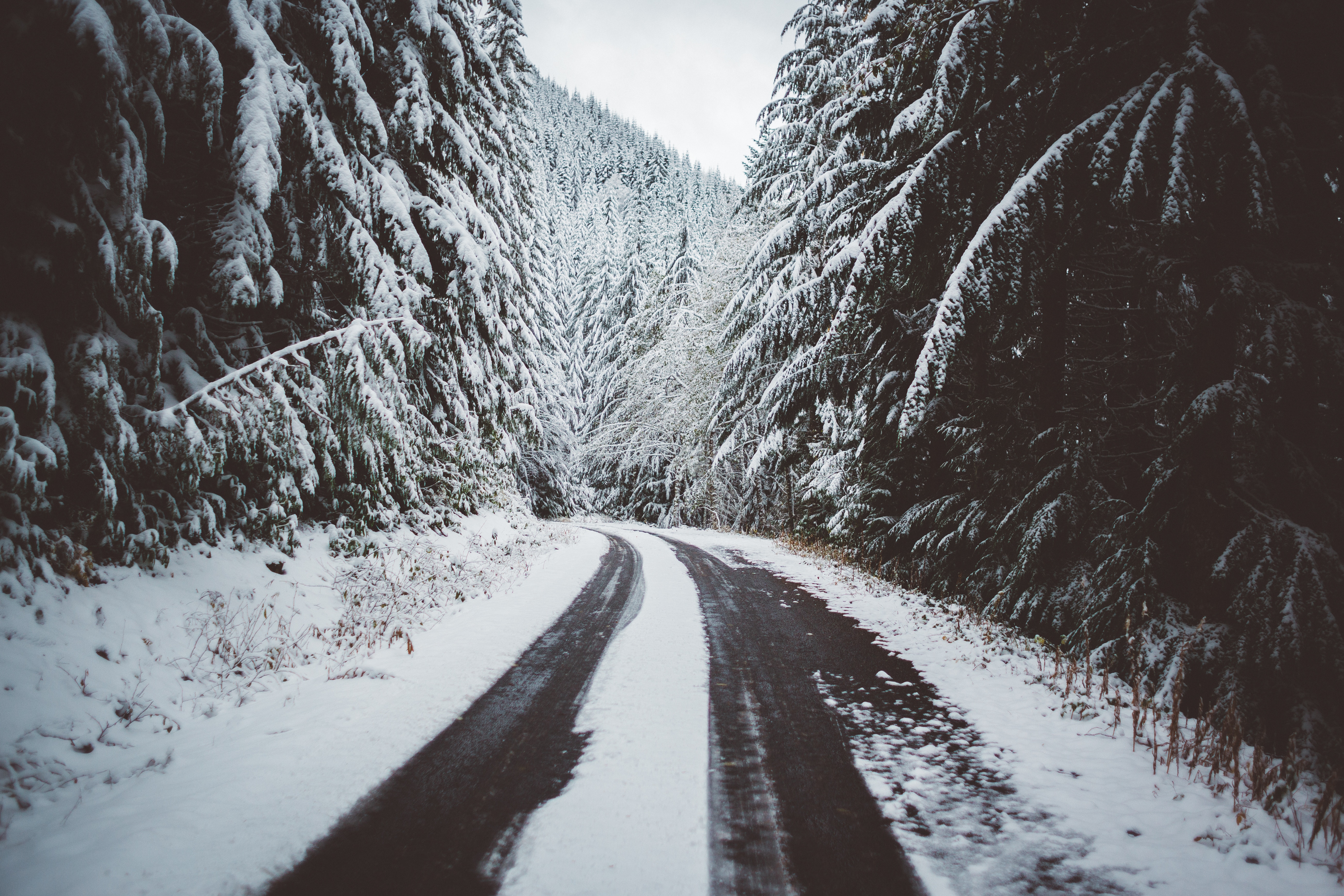 Free download wallpaper Trees, Road, Nature, Snow, Winter on your PC desktop