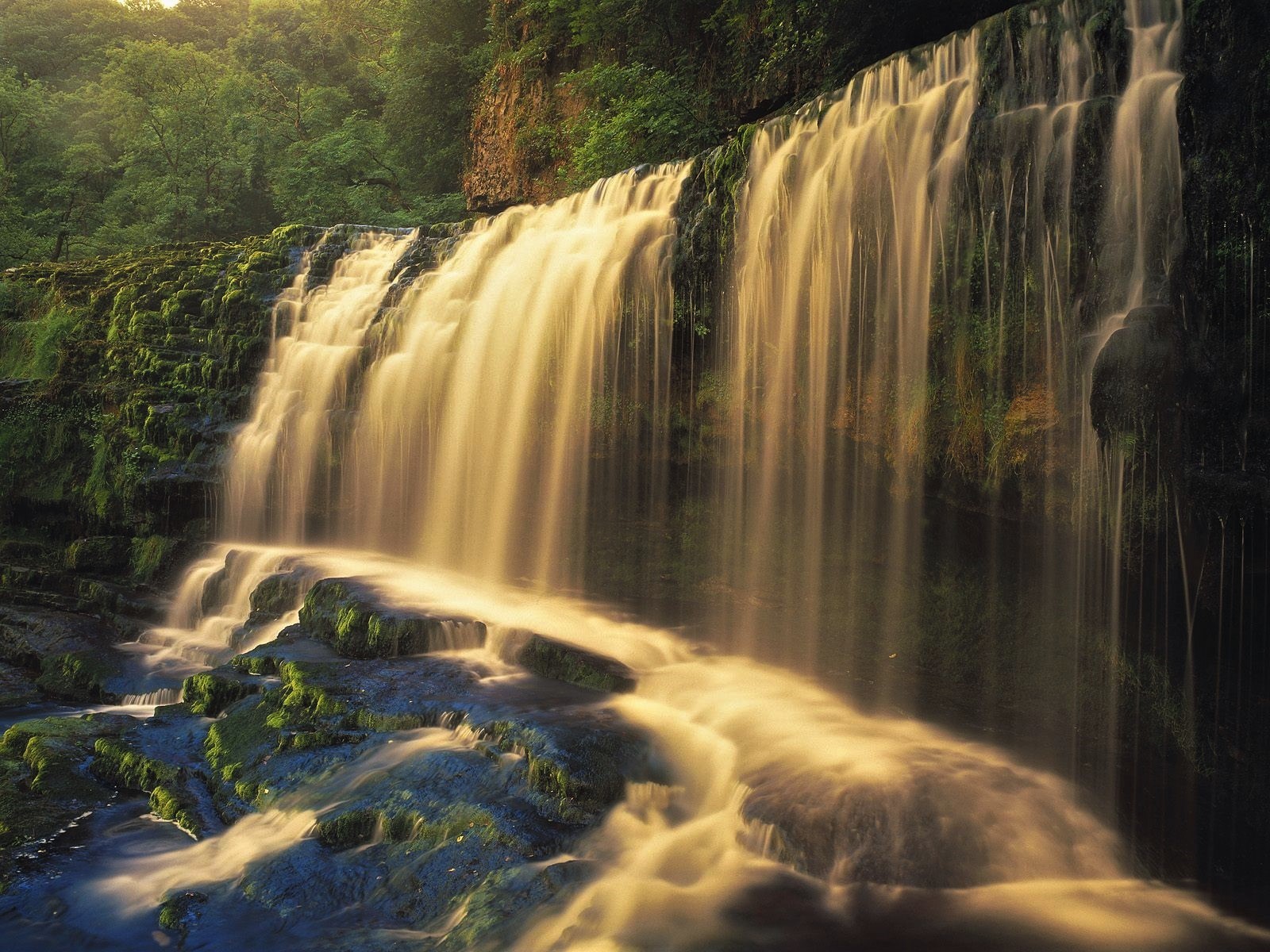 Download mobile wallpaper Waterfalls, Waterfall, Forest, Earth, Moss, Greenery for free.