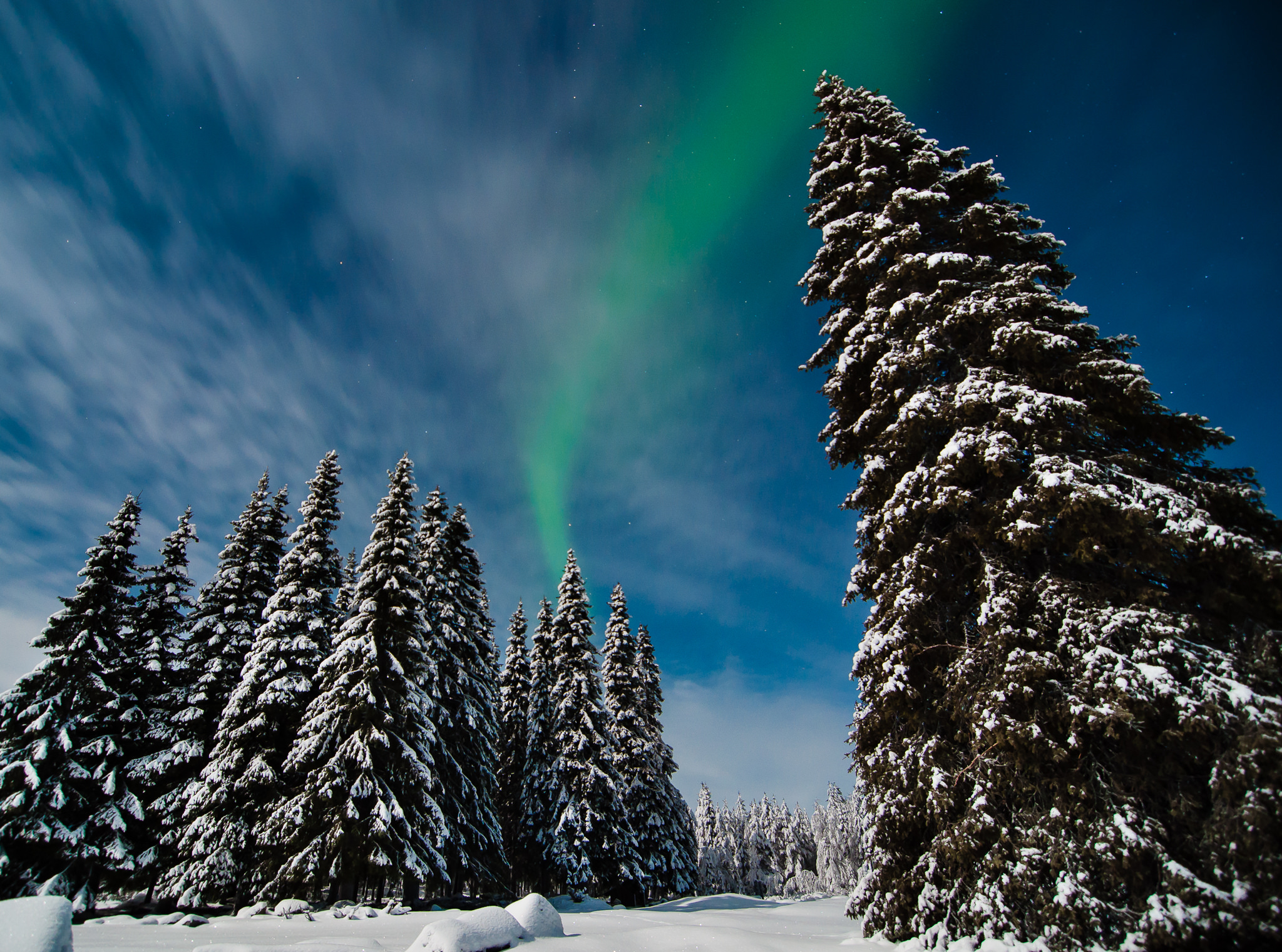 Скачать обои бесплатно Зима, Небо, Снег, Свет, Лес, Дерево, Северное Сияние, Земля/природа картинка на рабочий стол ПК