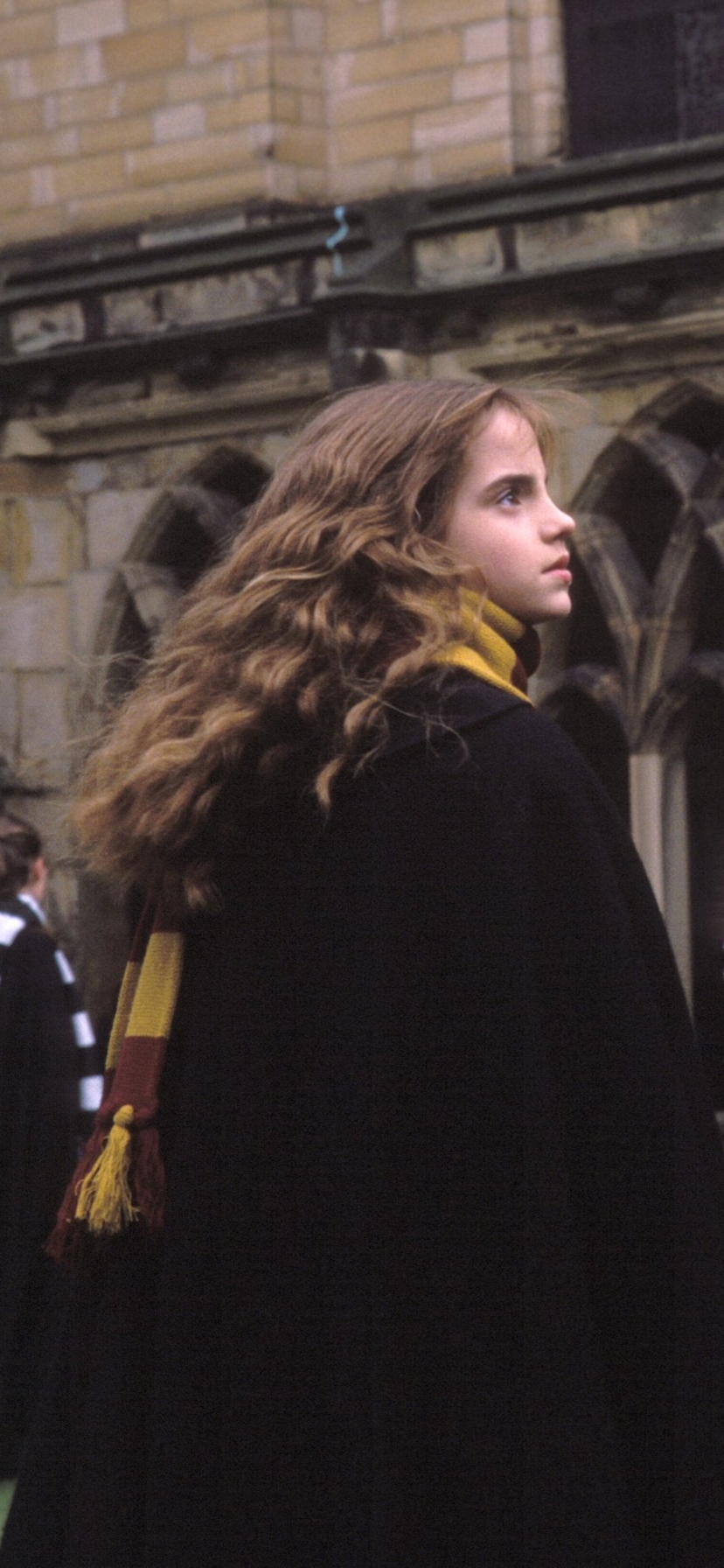 Download mobile wallpaper Harry Potter, Emma Watson, Movie, Hermione Granger, Harry Potter And The Chamber Of Secrets for free.