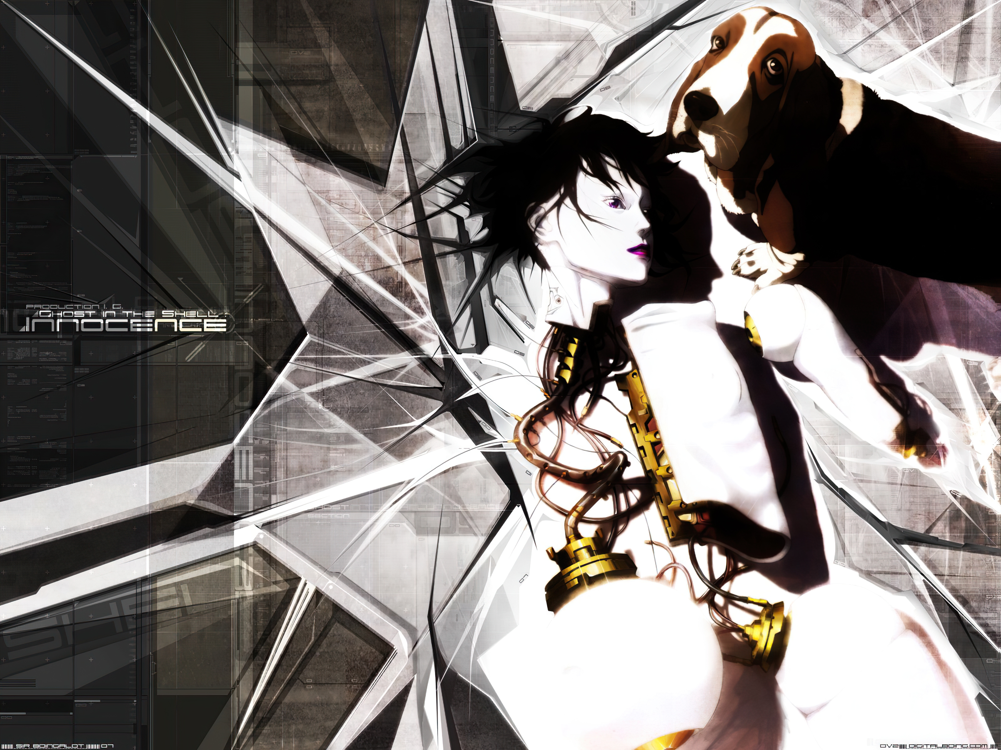 Free download wallpaper Ghost In The Shell, Anime on your PC desktop