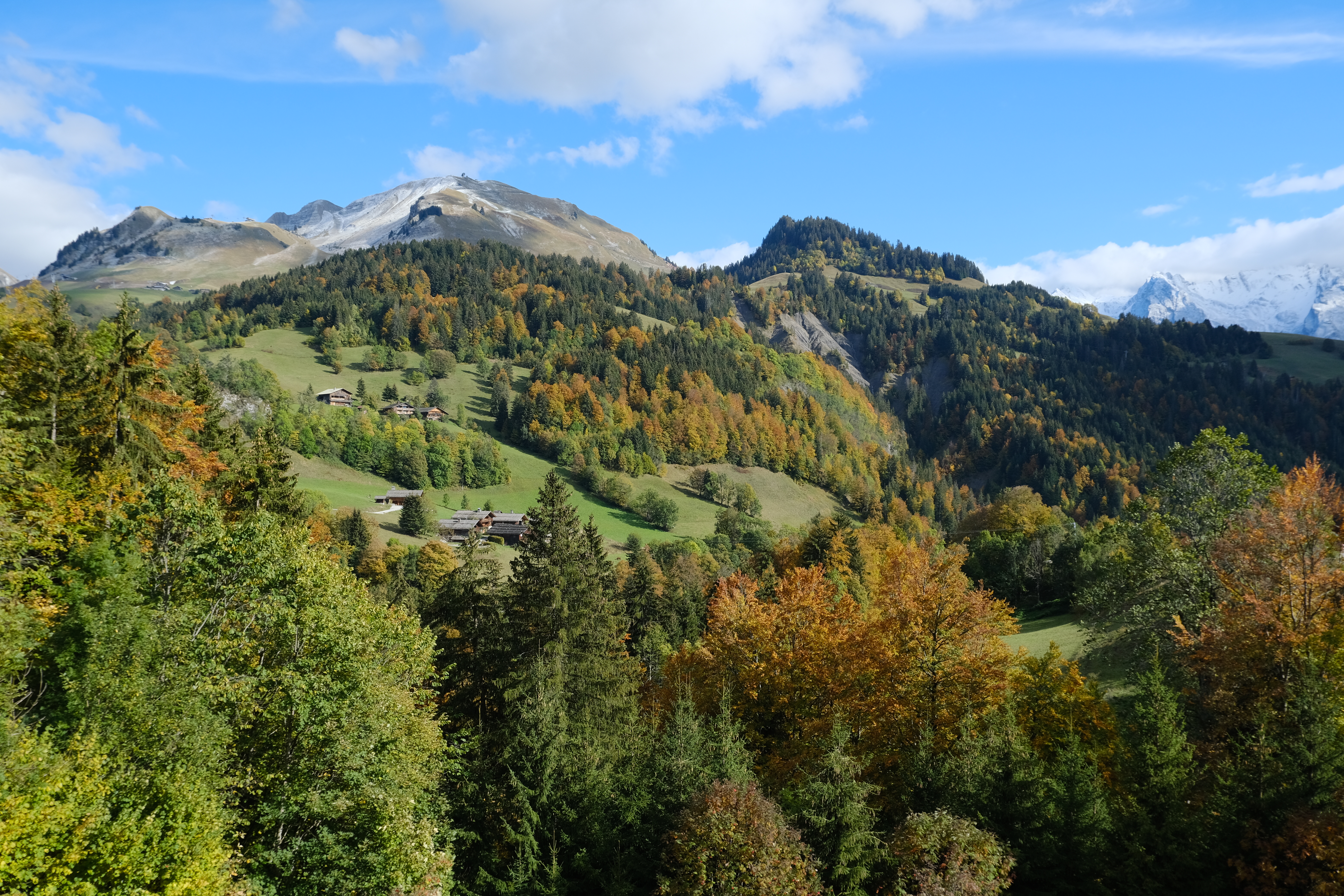 Téléchargez des papiers peints mobile Arbres, Collines, Retour Au Début, Les Collines, Nature, Montagne, Sommet, Paysage gratuitement.