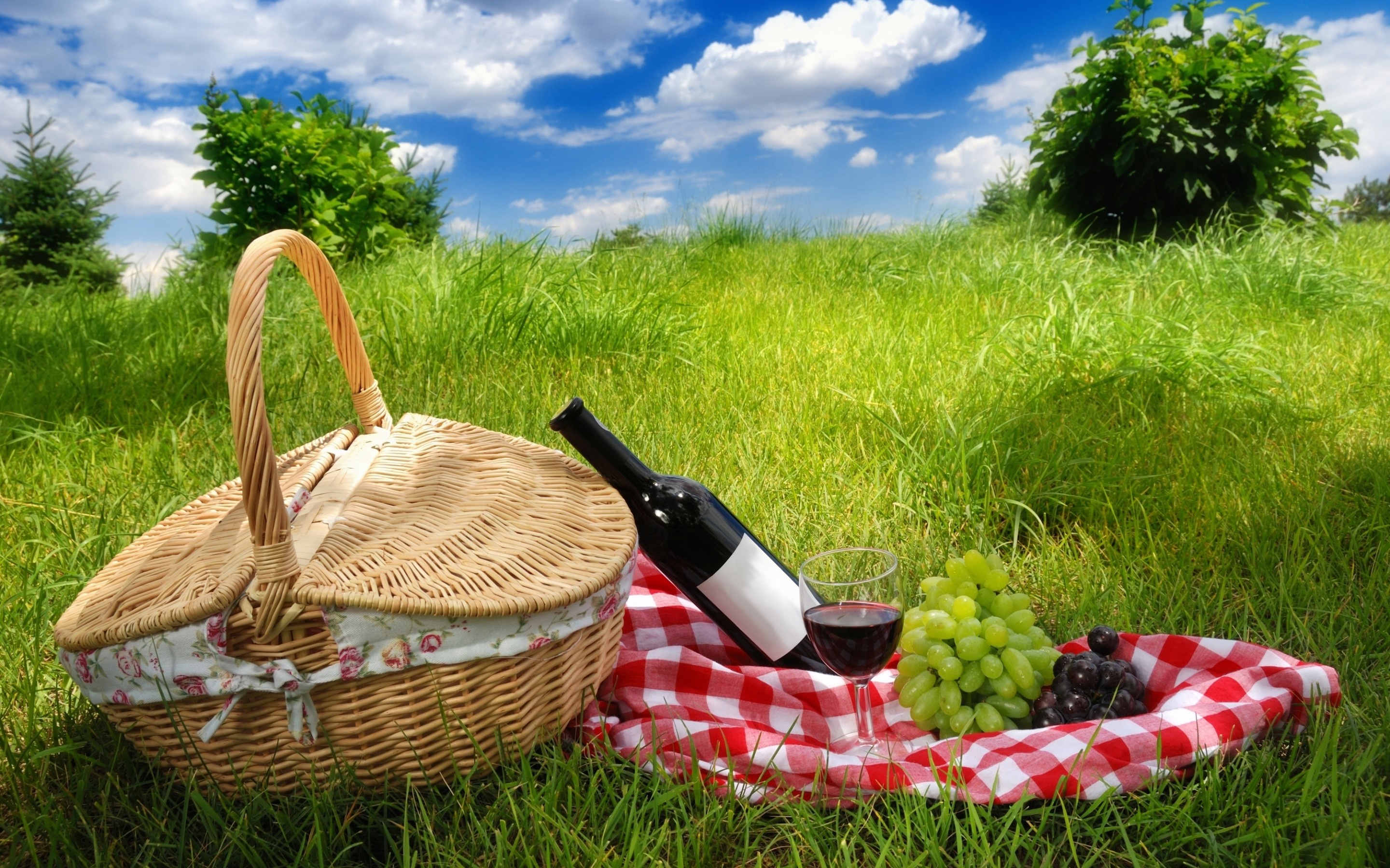 grass, grapes, still life, wine, food, picnic, basket, picnic basket