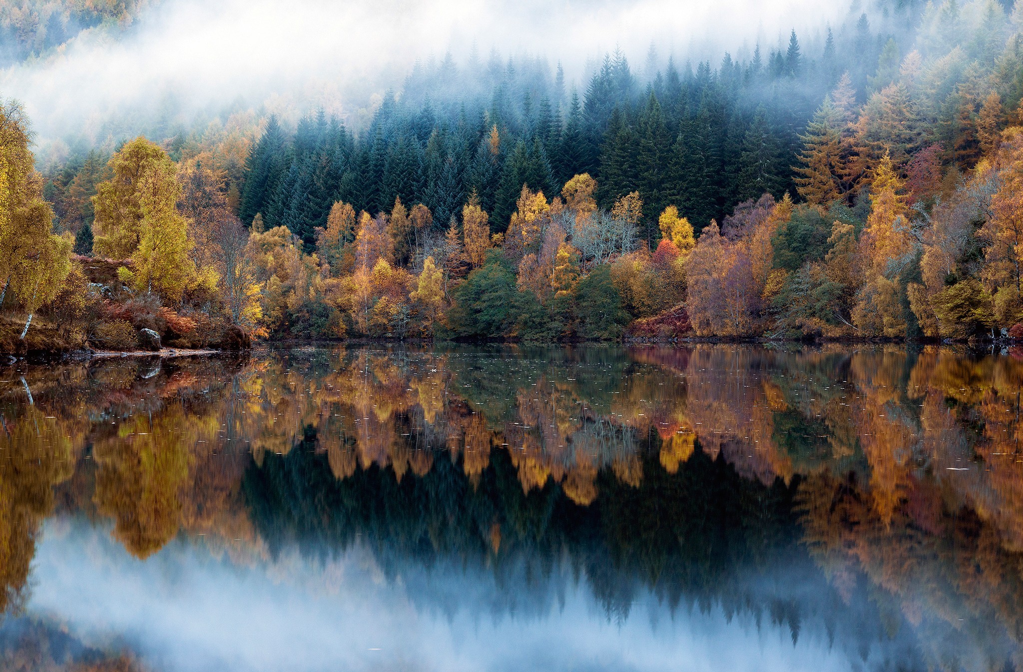 Handy-Wallpaper Herbst, Wald, Nebel, Erde/natur, Spiegelung kostenlos herunterladen.
