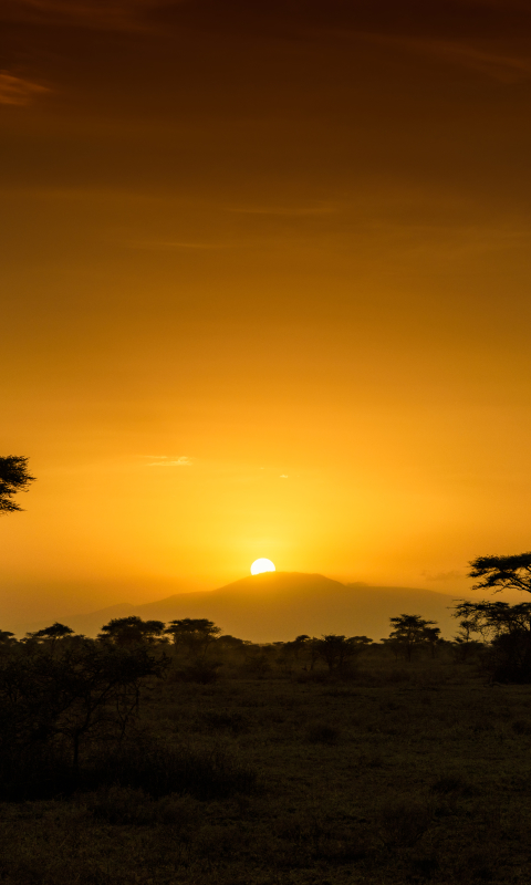 Скачать картинку Саванна, Рассвет, Восход, Африка, Земля/природа, Танзания в телефон бесплатно.