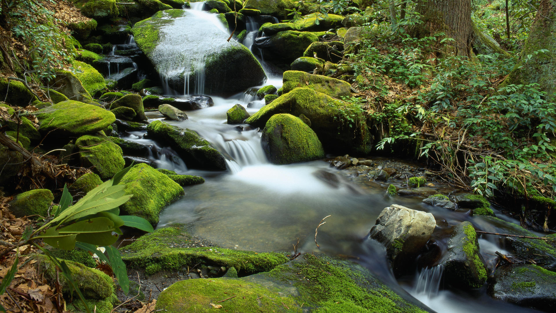 Handy-Wallpaper Wasserfall, Erde/natur kostenlos herunterladen.