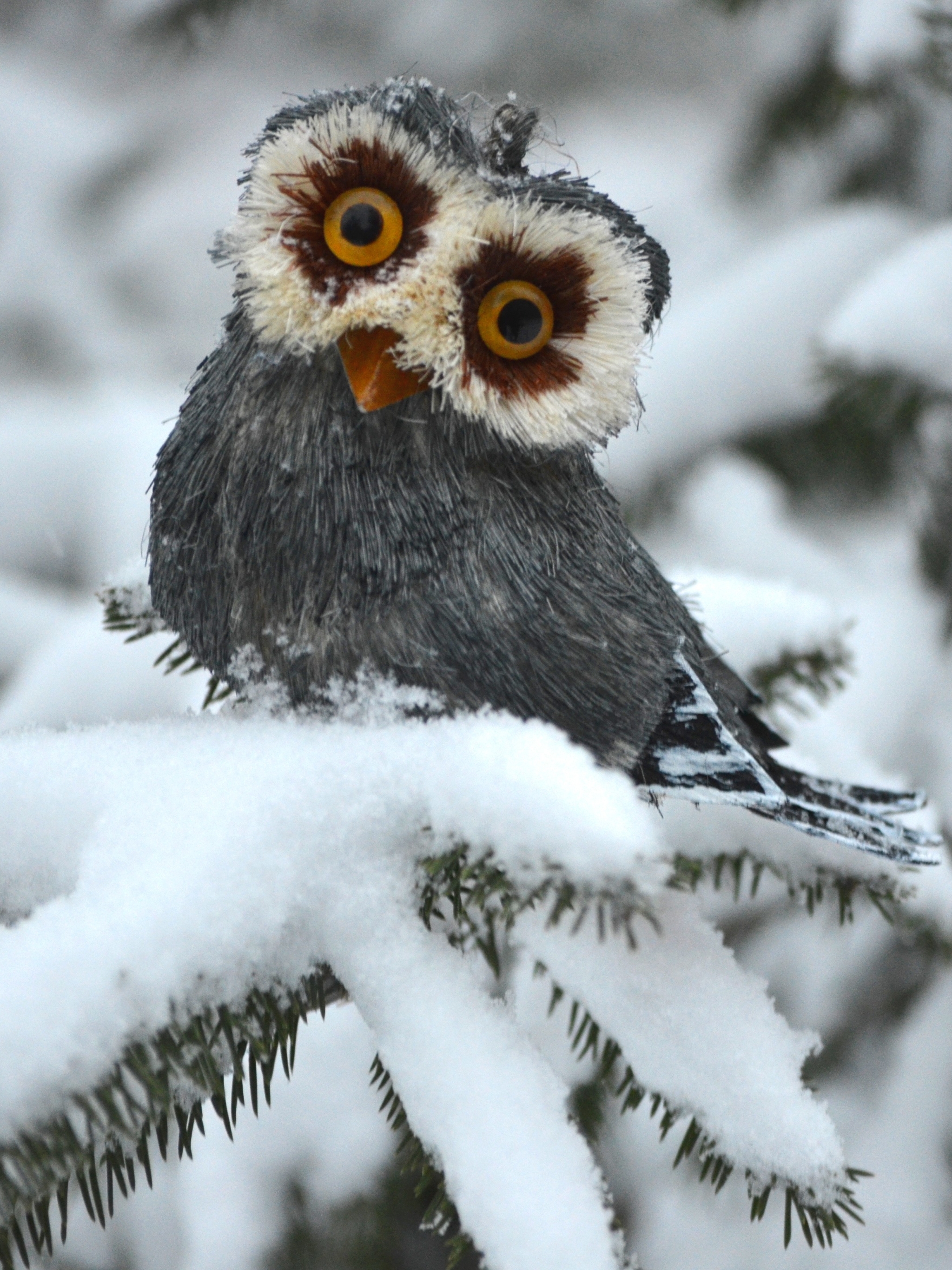 Download mobile wallpaper Winter, Birds, Owl, Snow, Bird, Animal for free.