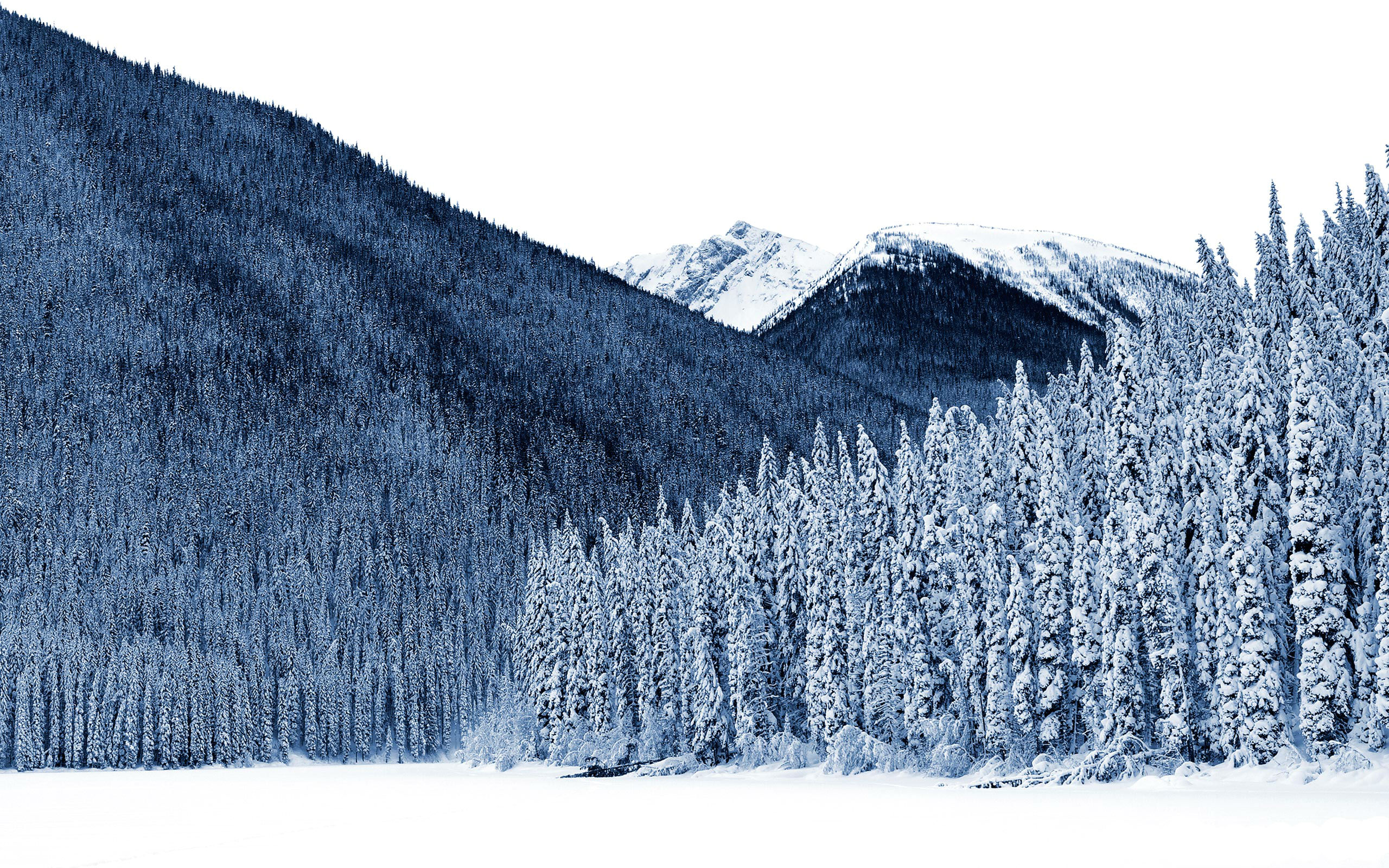 Free download wallpaper Winter, Earth on your PC desktop