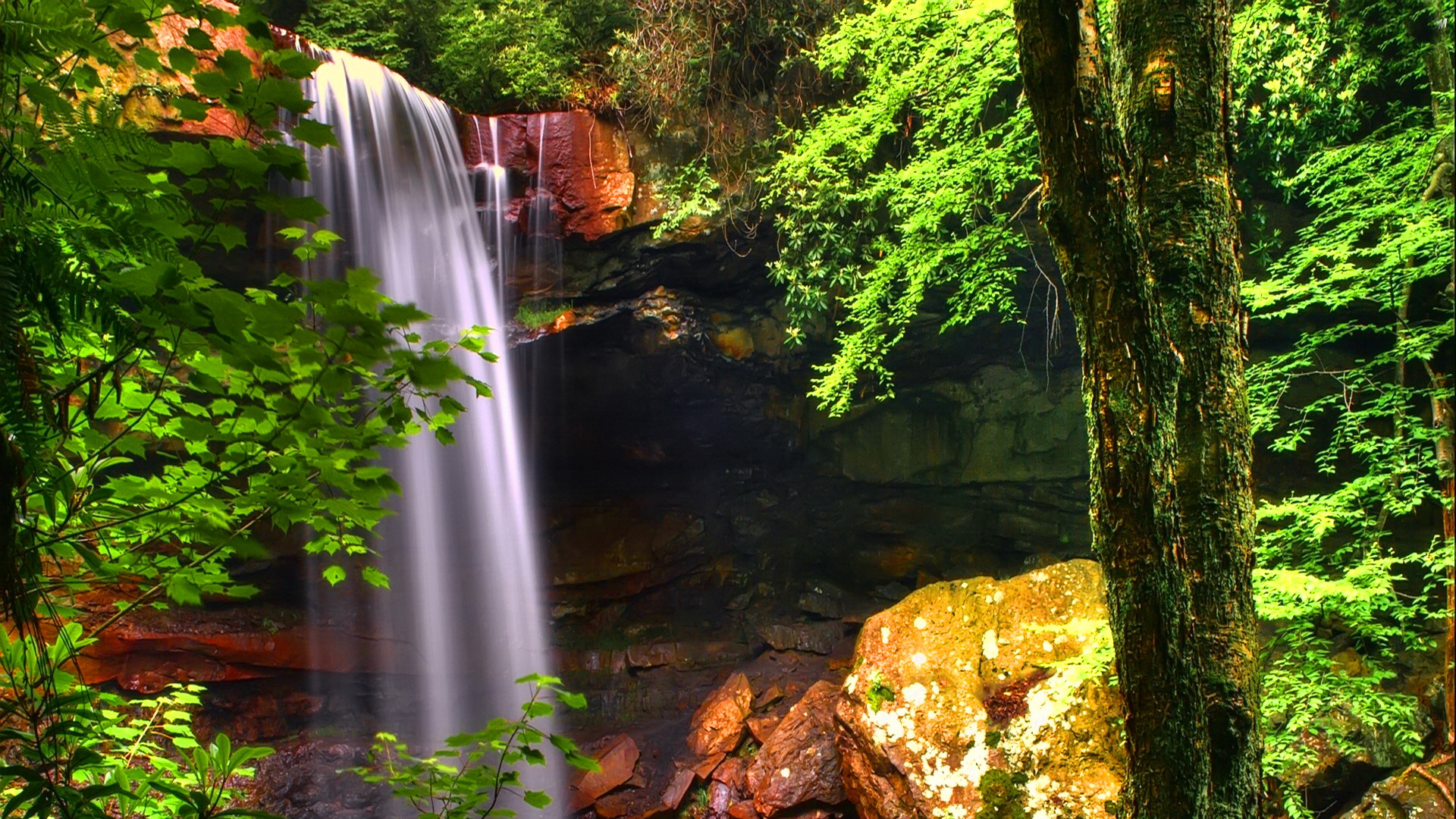 Скачать картинку Зеленый, Водопад, Водопады, Природа, Дерево, Земля/природа в телефон бесплатно.
