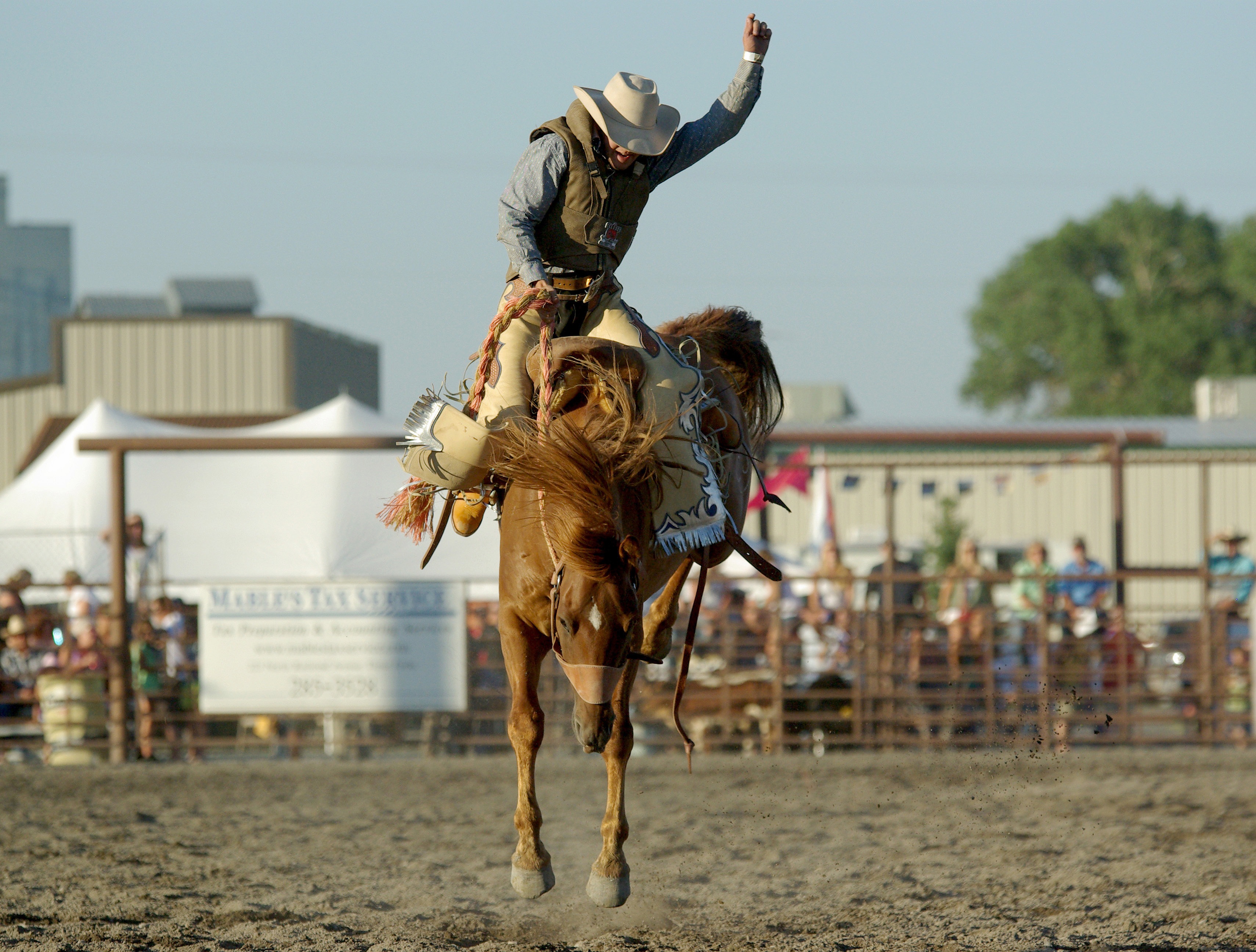 804617 Bild herunterladen sport, rodeo, cowboy, hauspferd - Hintergrundbilder und Bildschirmschoner kostenlos