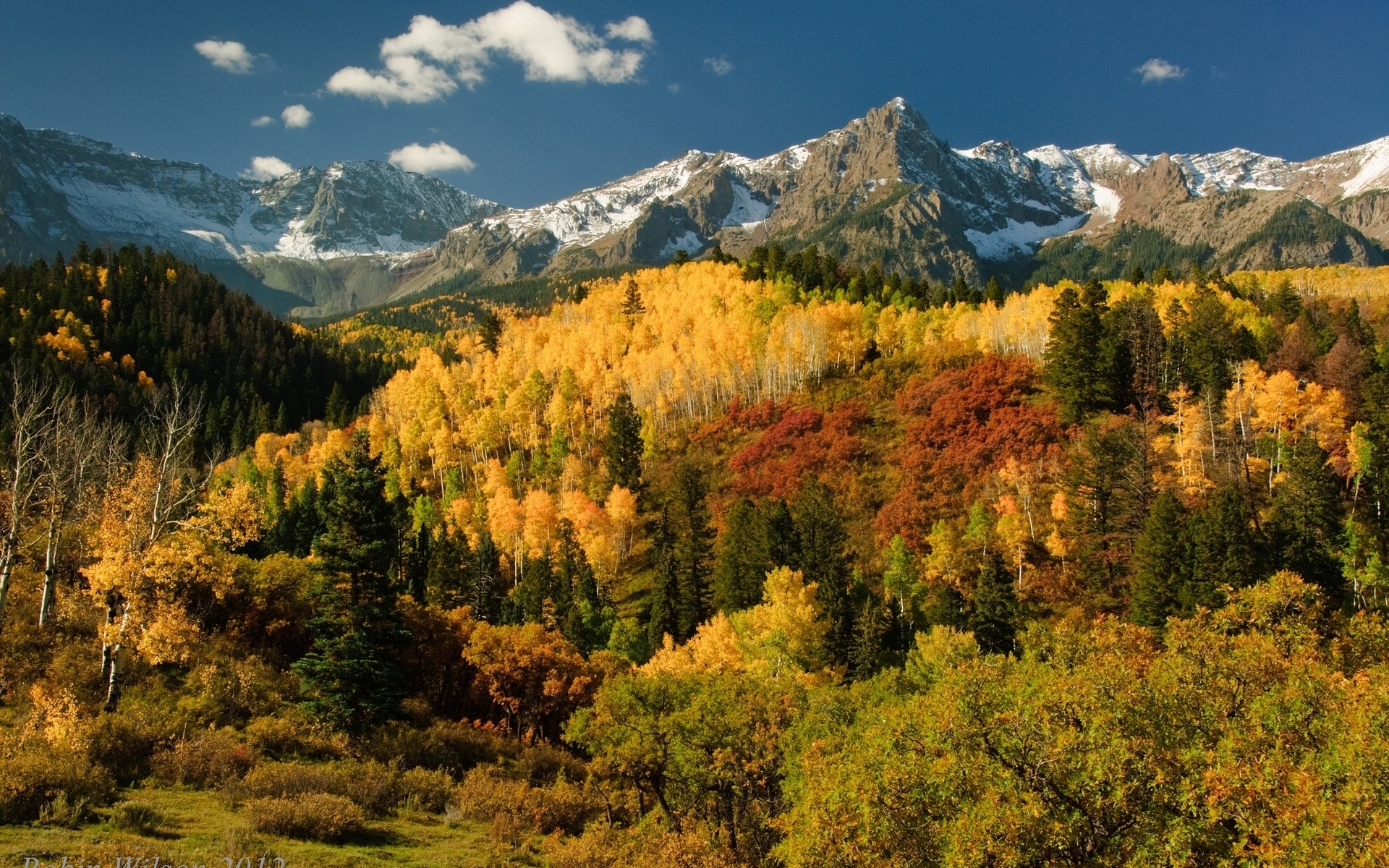 Téléchargez gratuitement l'image Automne, Terre/nature sur le bureau de votre PC