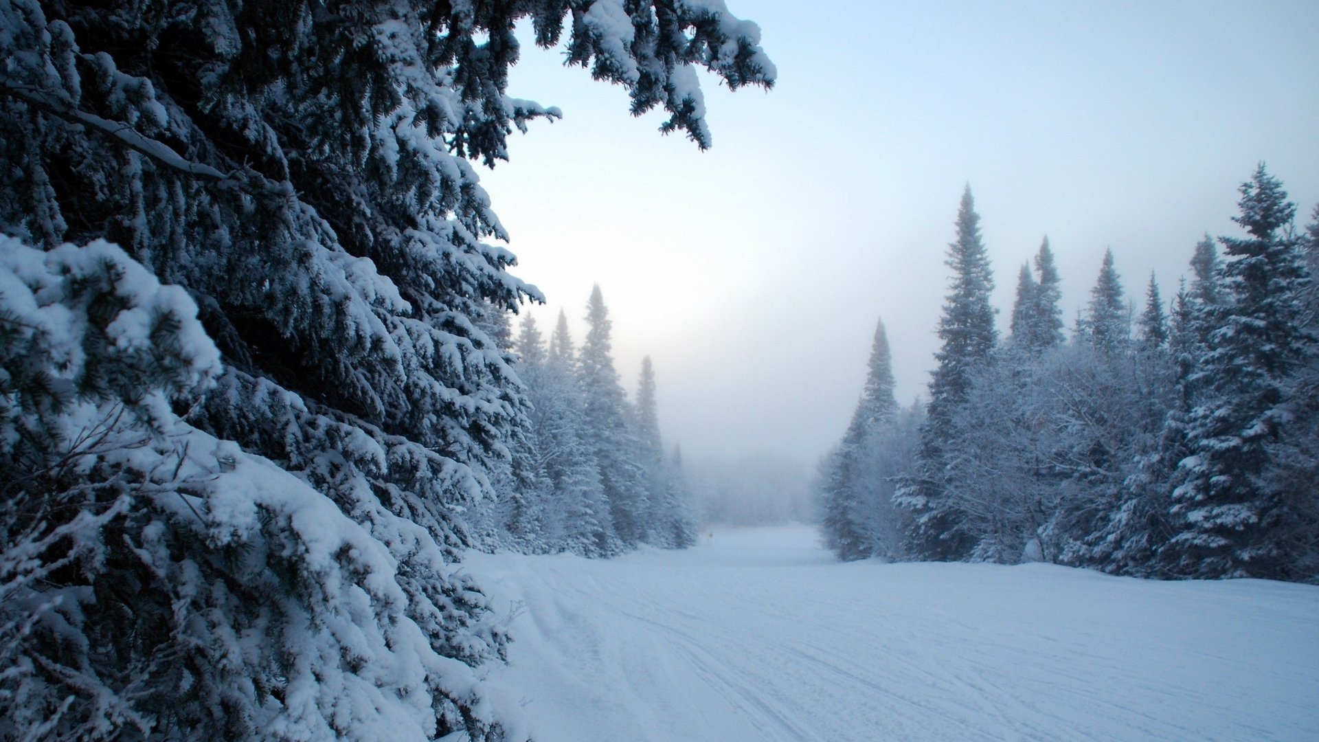 Descarga gratuita de fondo de pantalla para móvil de Invierno, Tierra/naturaleza.