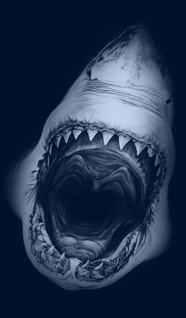 Téléchargez des papiers peints mobile Animaux, Requin, Les Requins gratuitement.